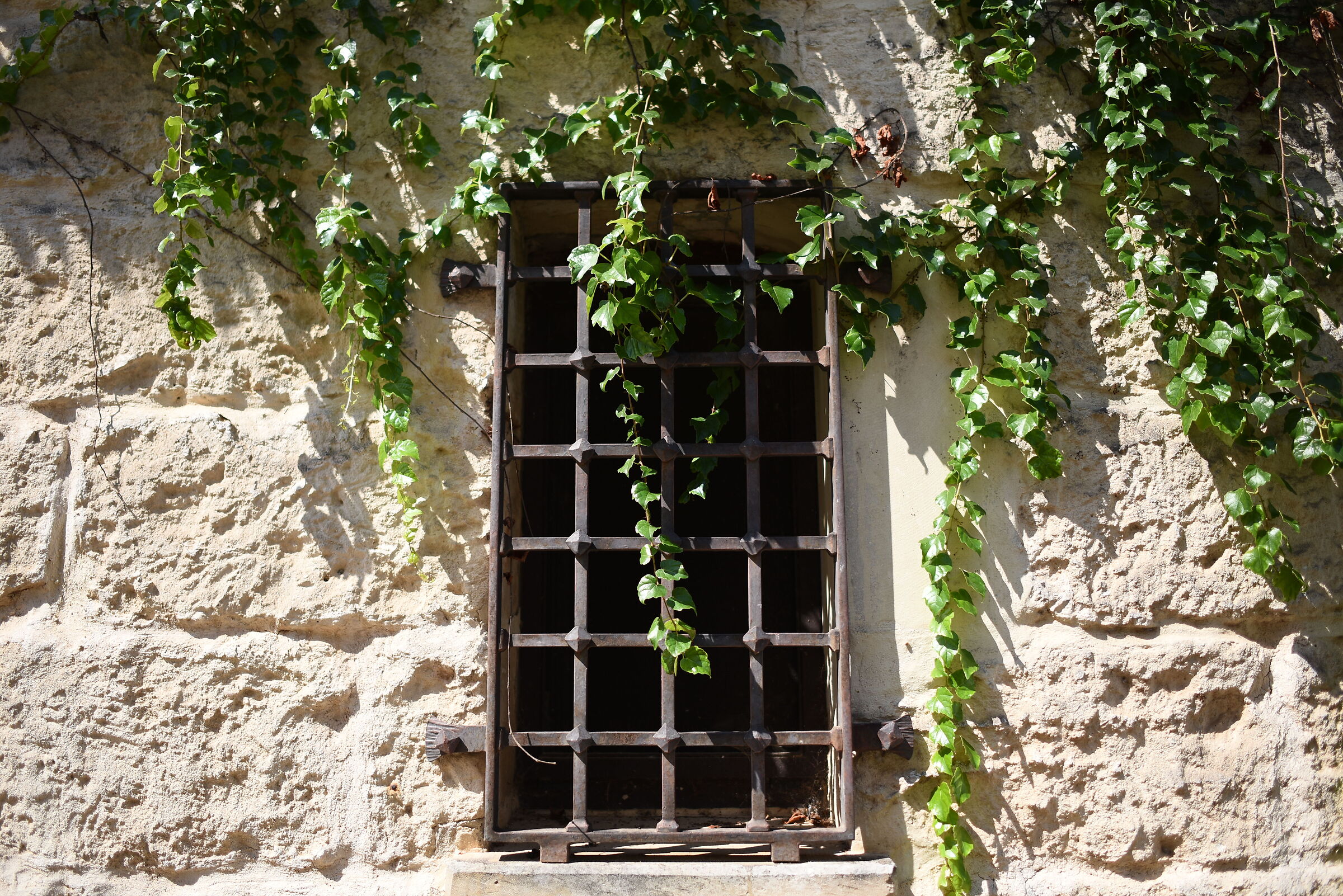 Nikon 750 / Zeiss Otus 28, 1.4