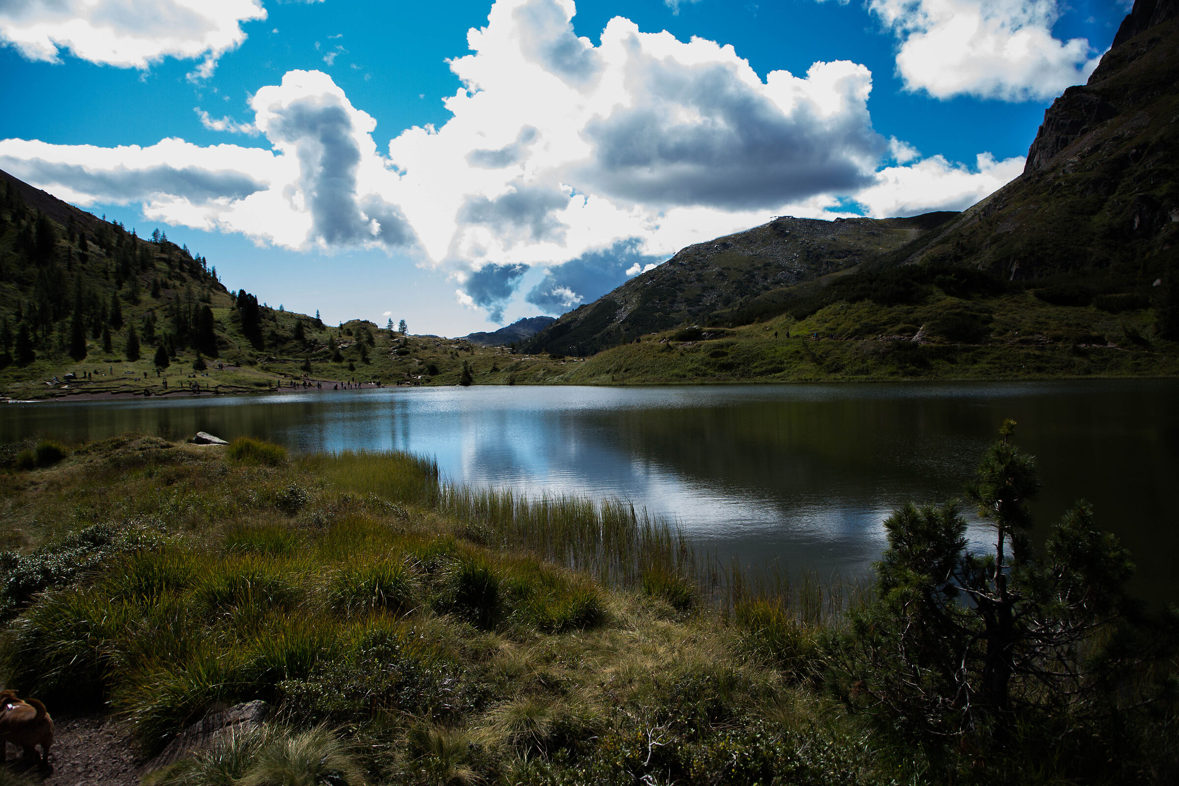 an enchanted landscape