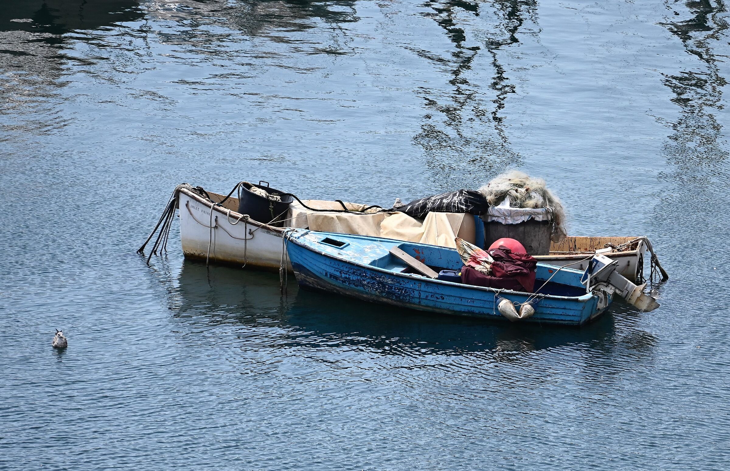 Le Barche che riposano   -test 50-250 DX Z -