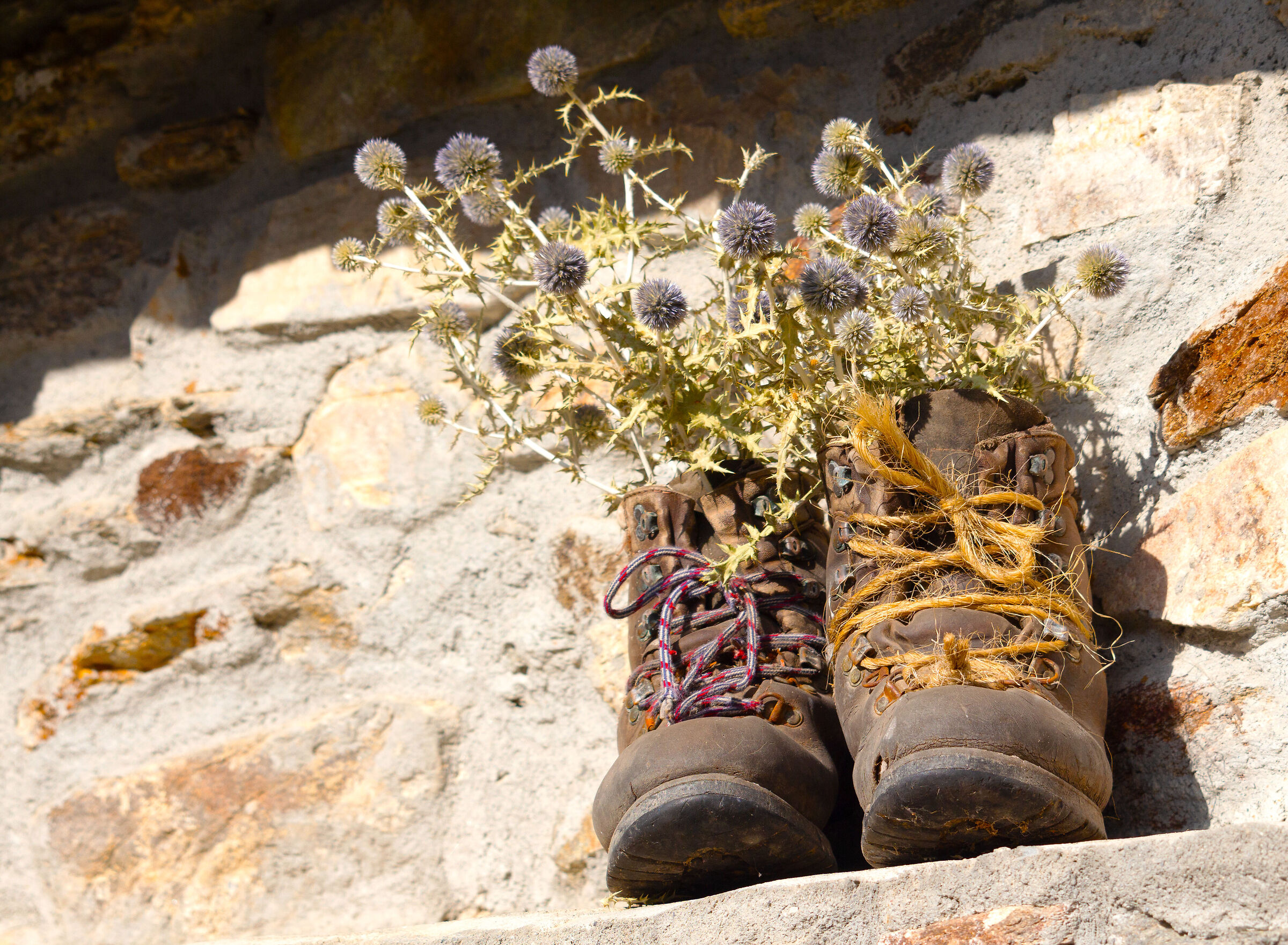 Scarponi alpini