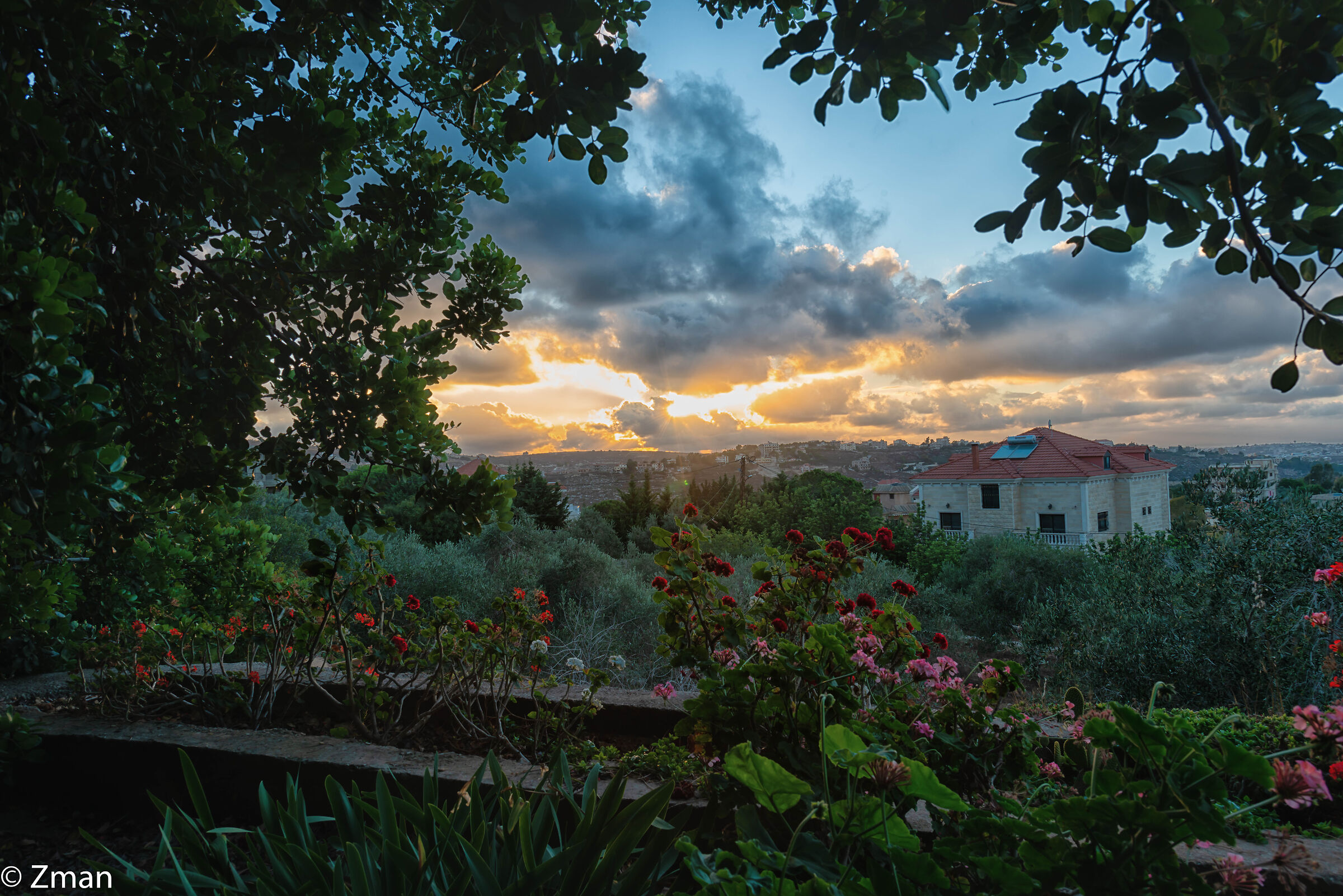 Sunset and the Mini Garden