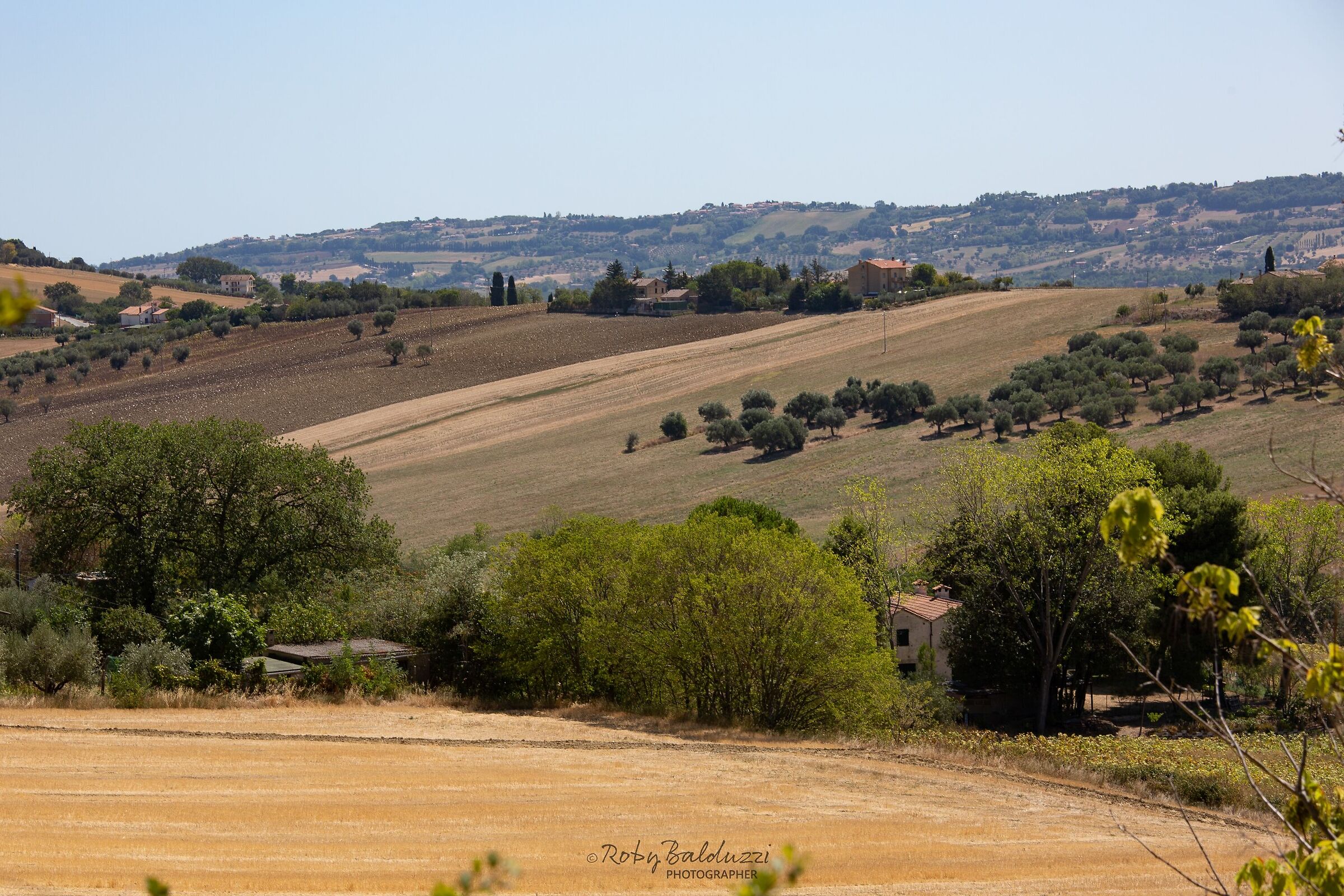 Campagna marchigiana