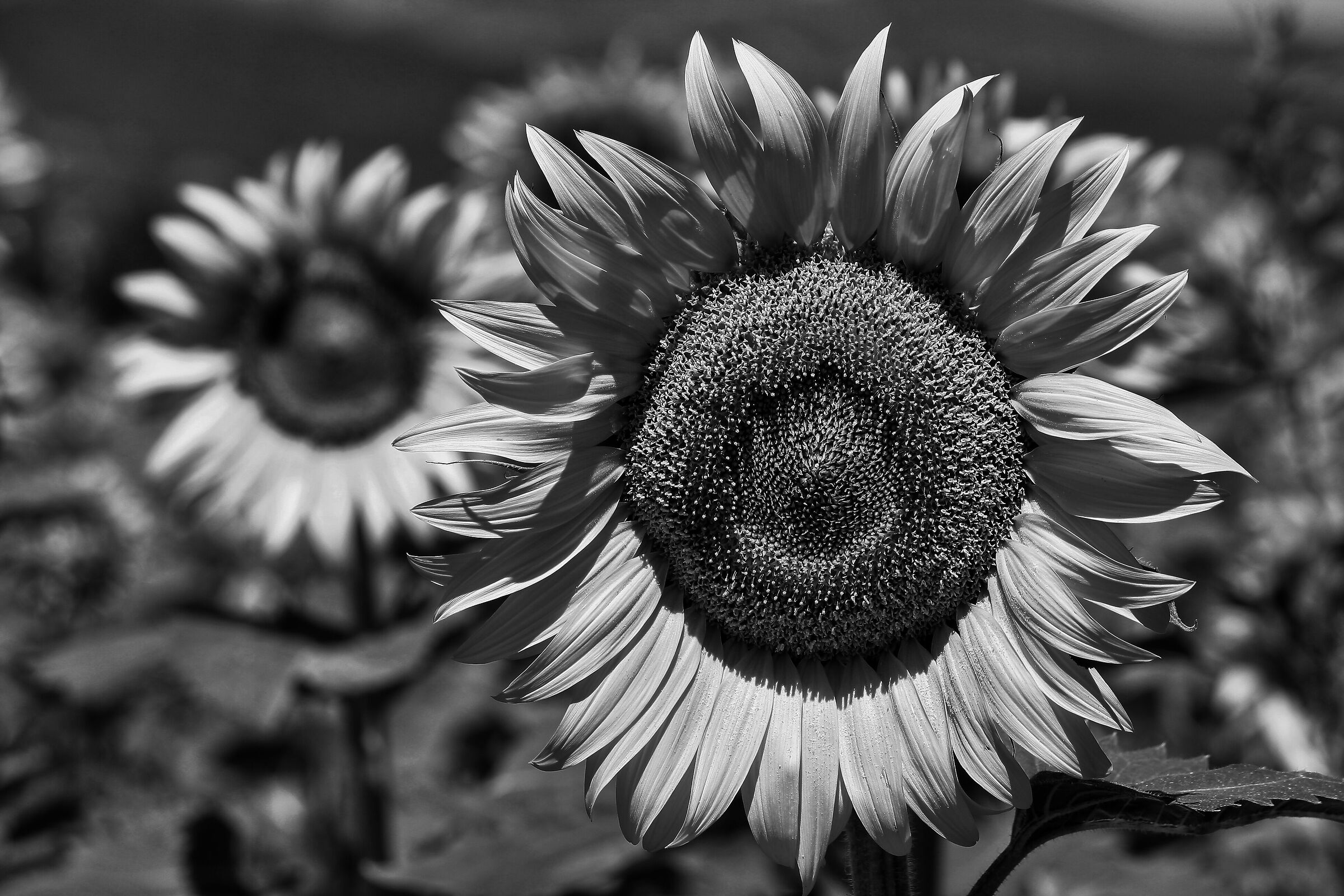 What Clizia would never approve!!