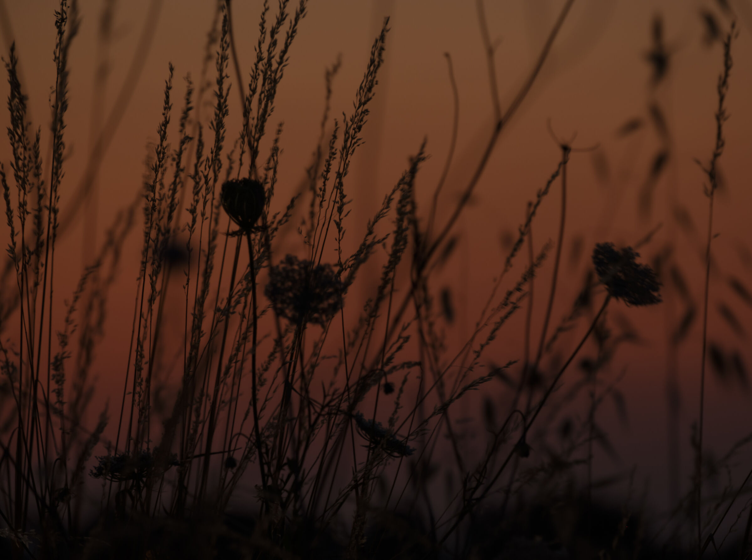 Salutando un'altro giorno