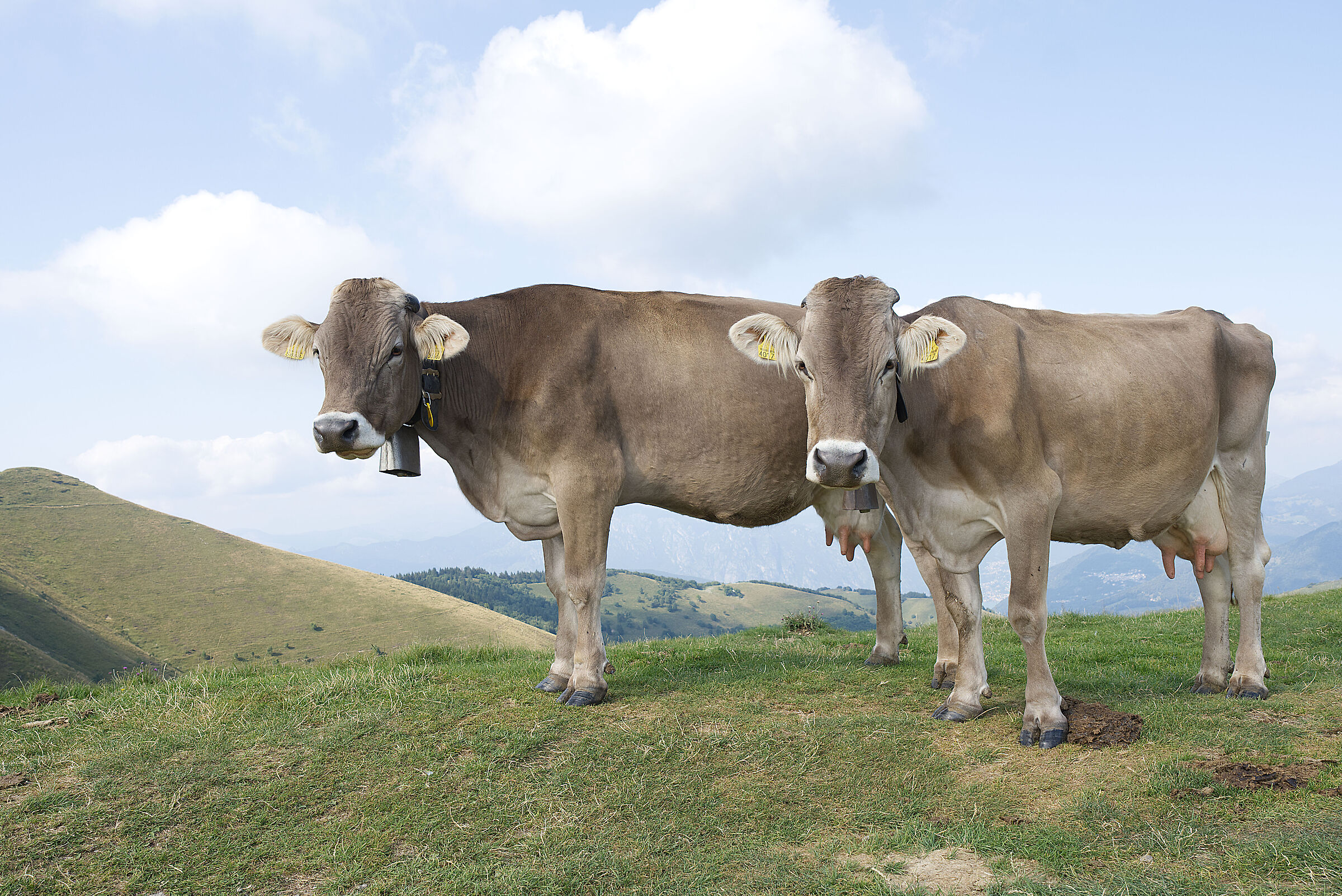 In vetta al Monte Generoso