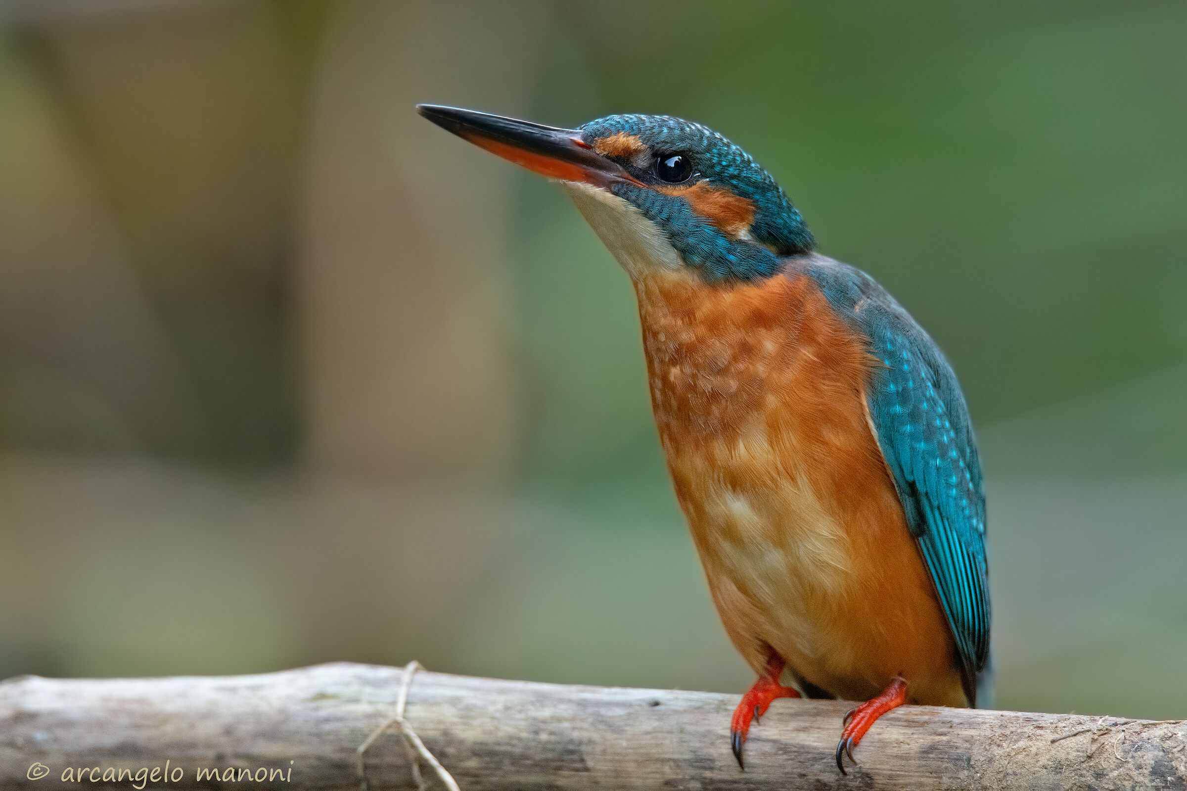 Do I trust or not trust?