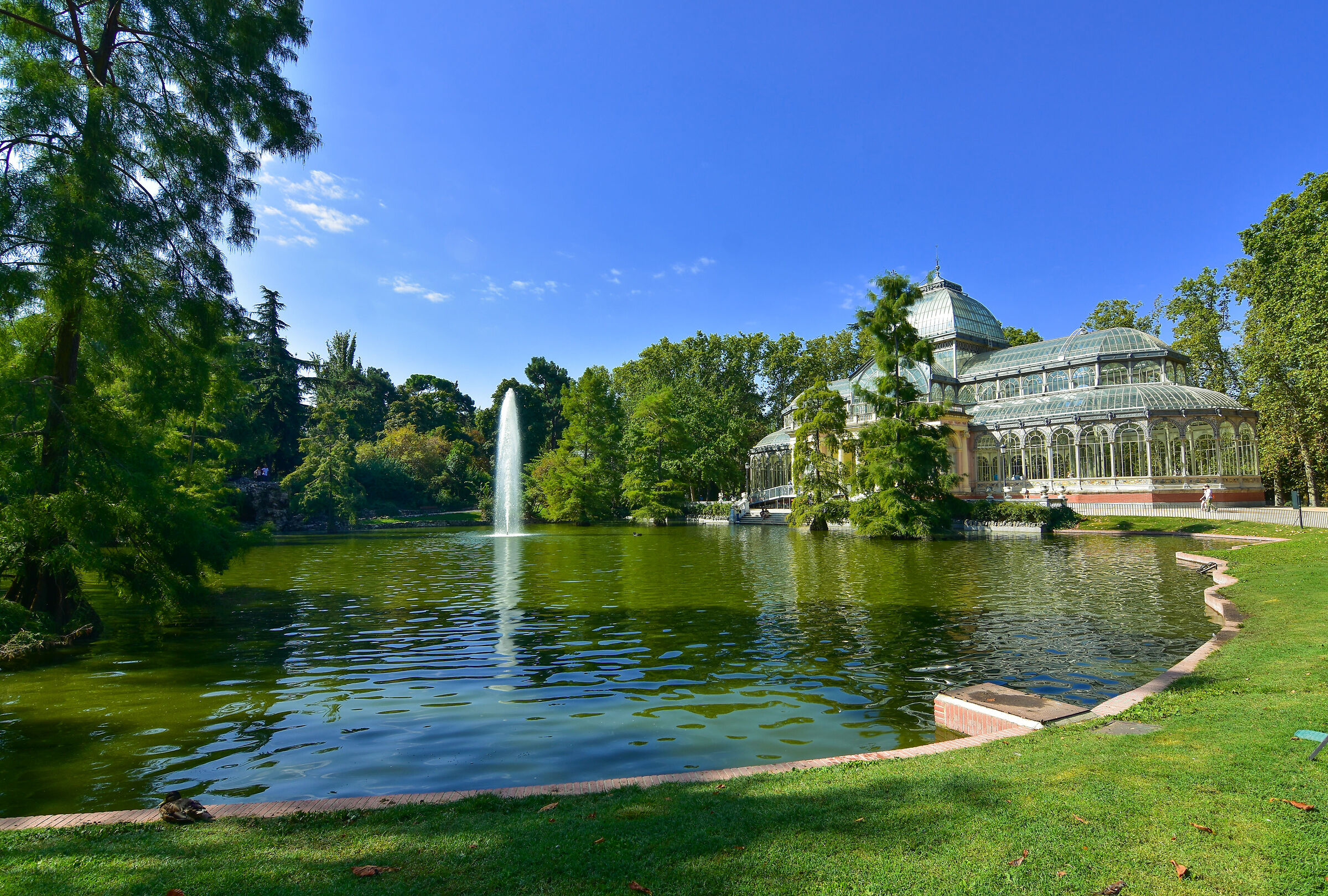 Crystal Palace Madrid