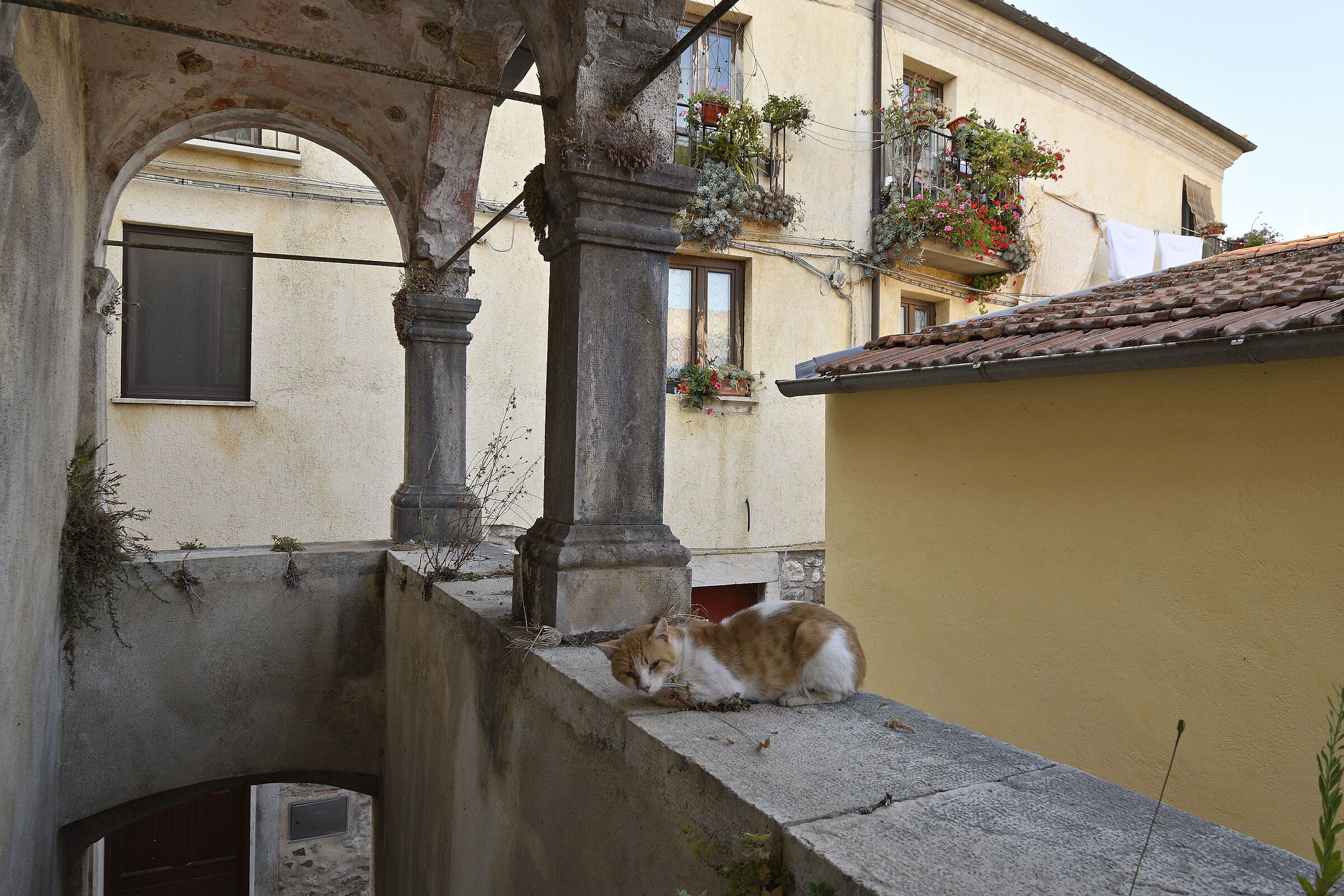 Mai in santa pace...