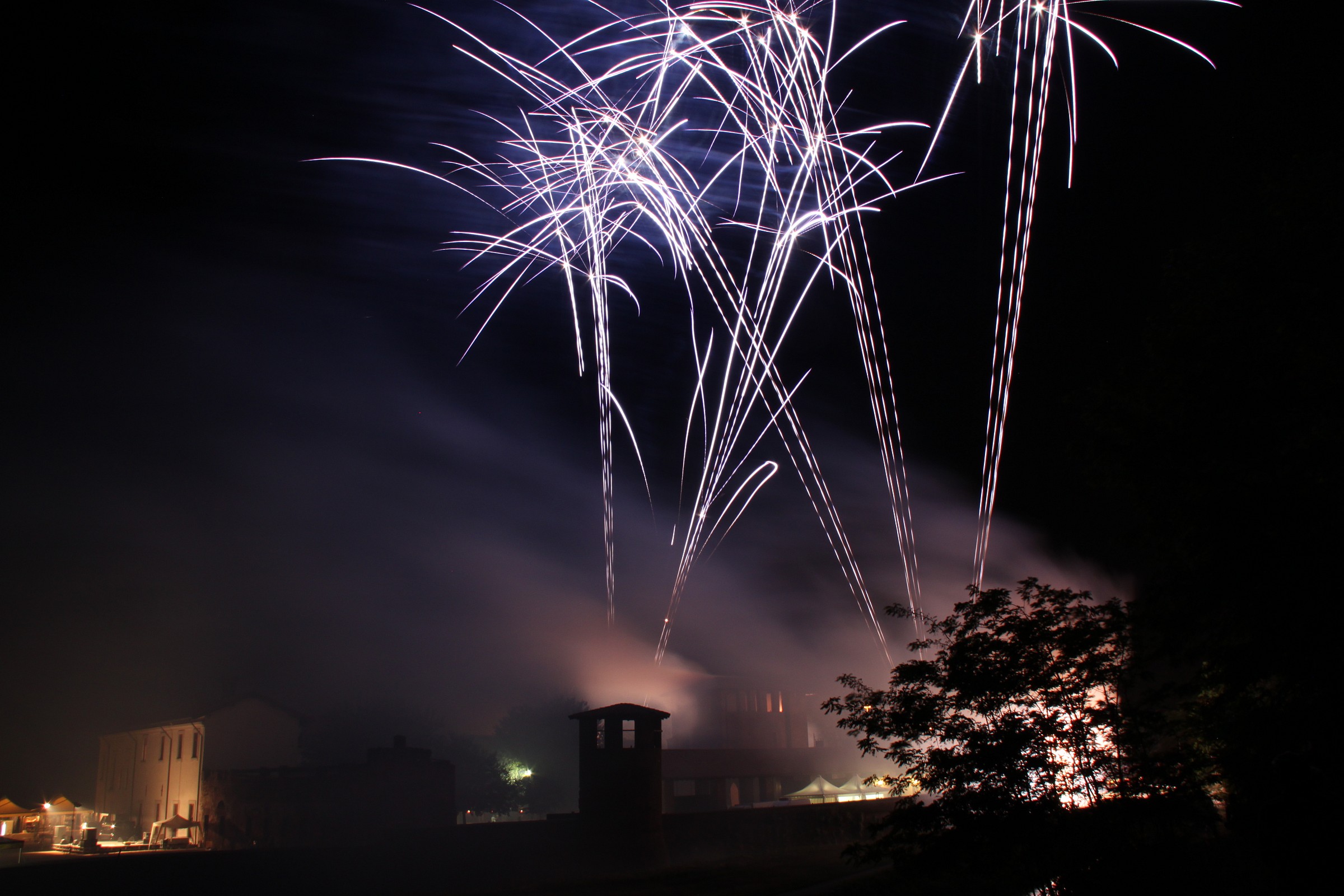 palm trees in the city