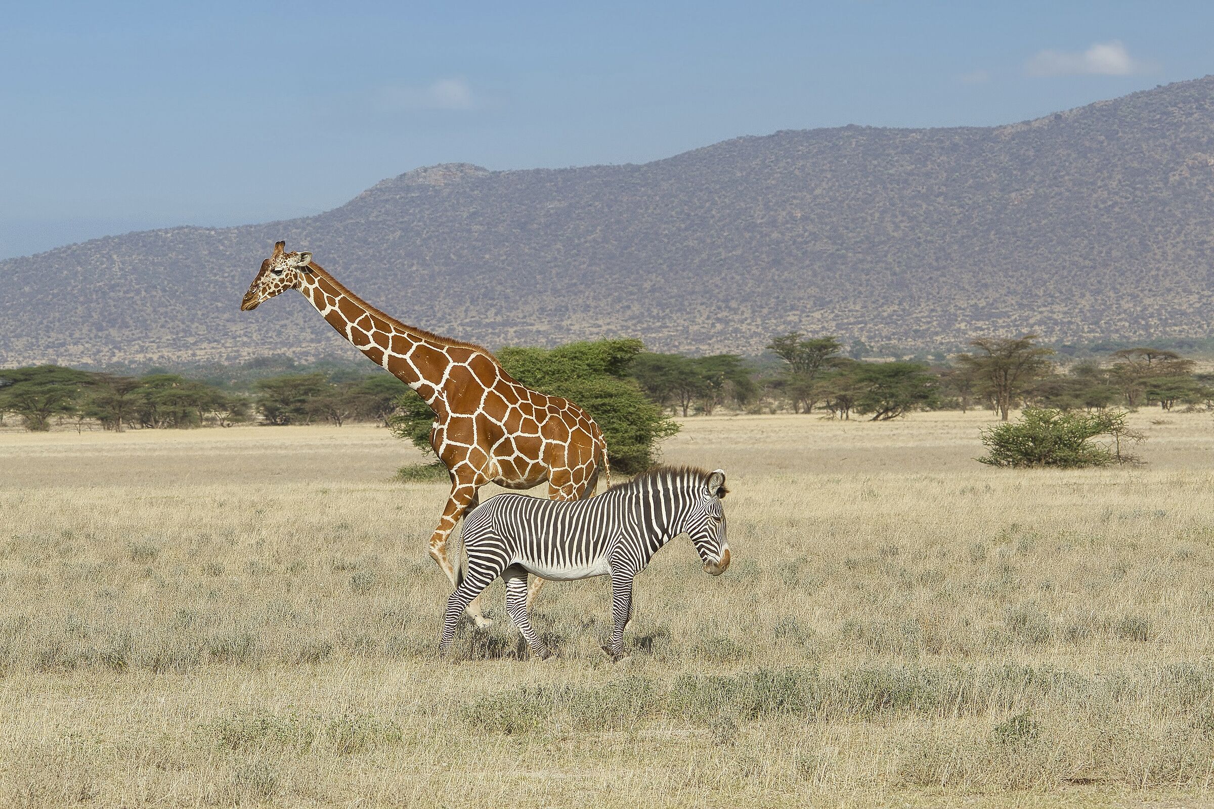 Ognuno per la sua strada...