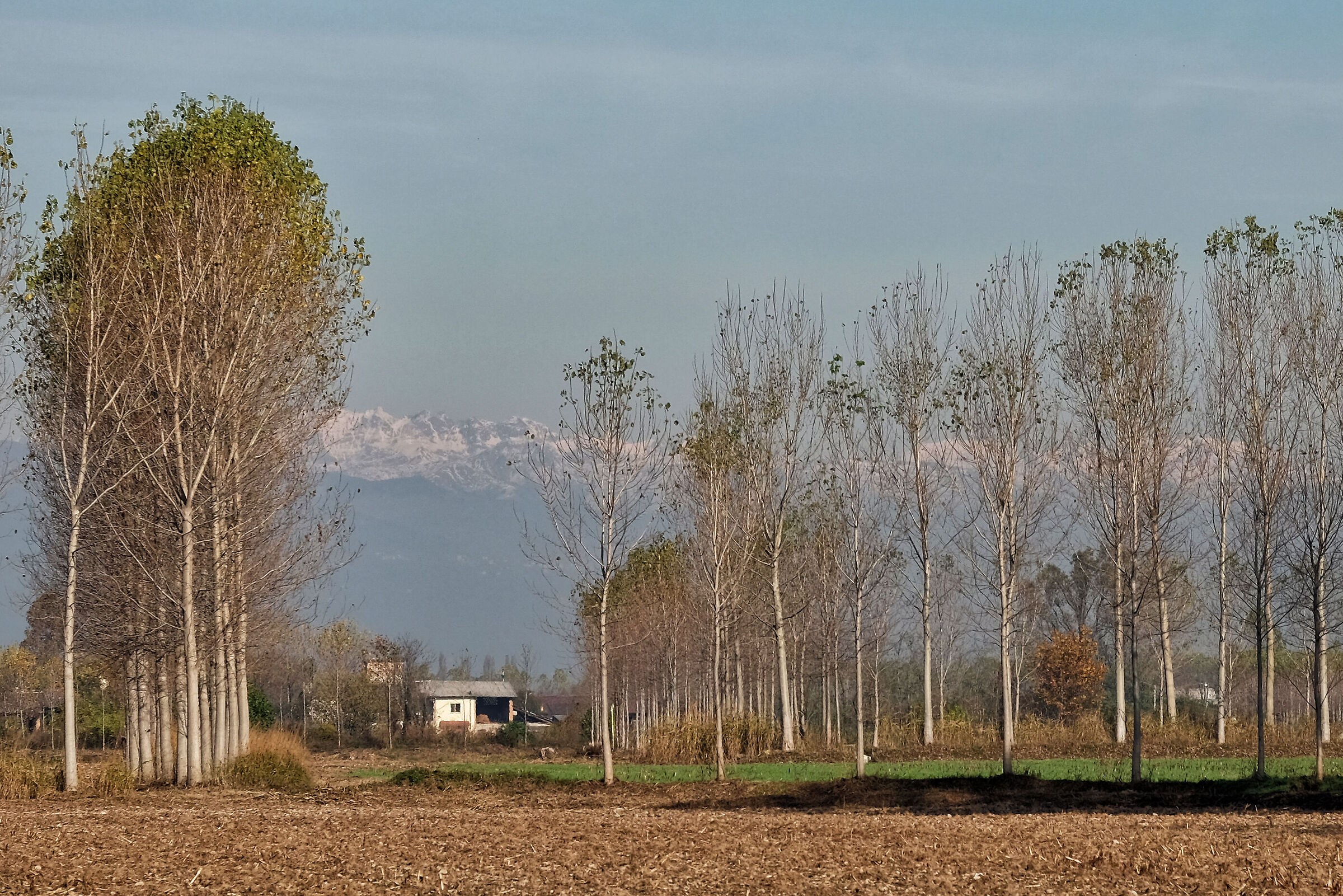 Fields and mountains