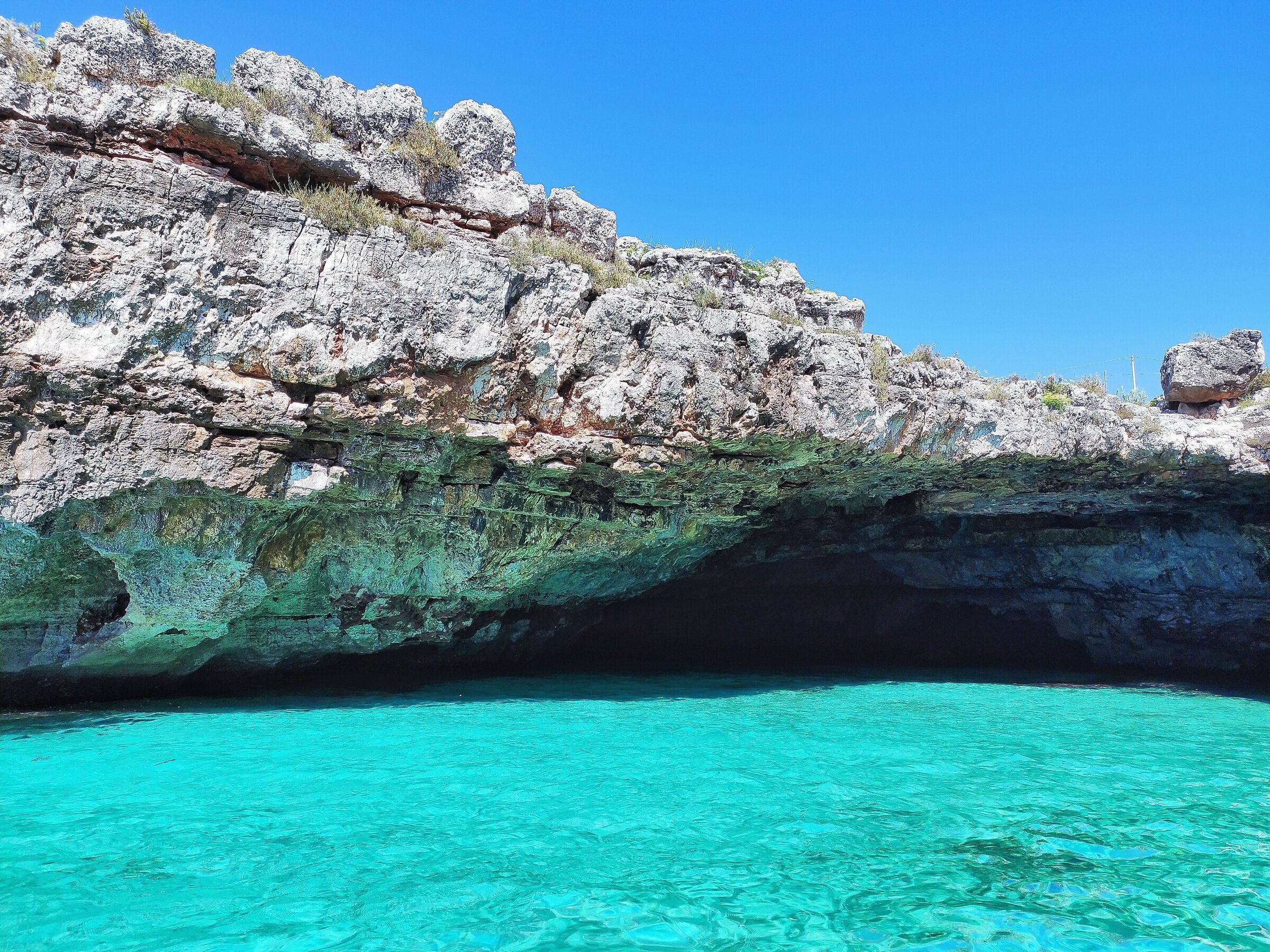 Natural swimming pool