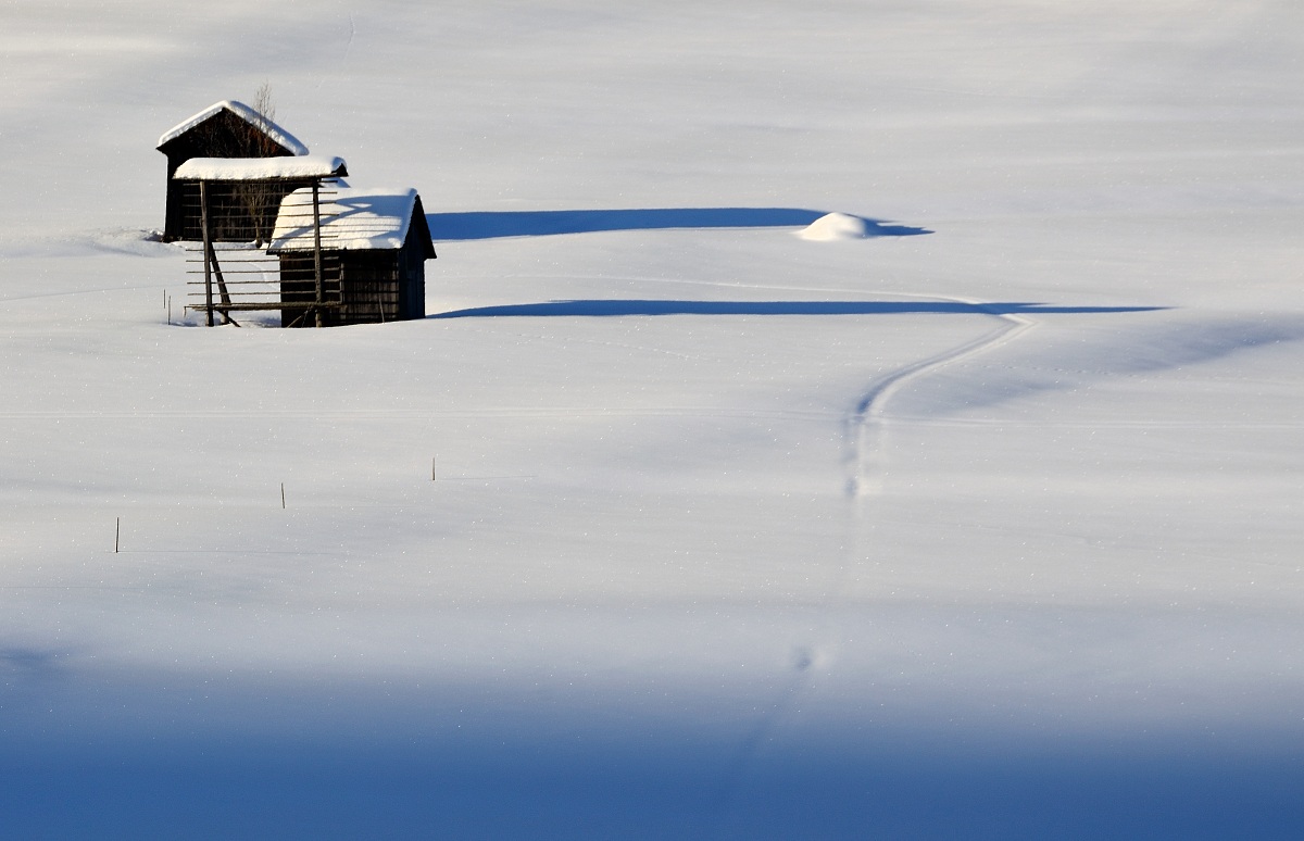 Prime luci del giorno