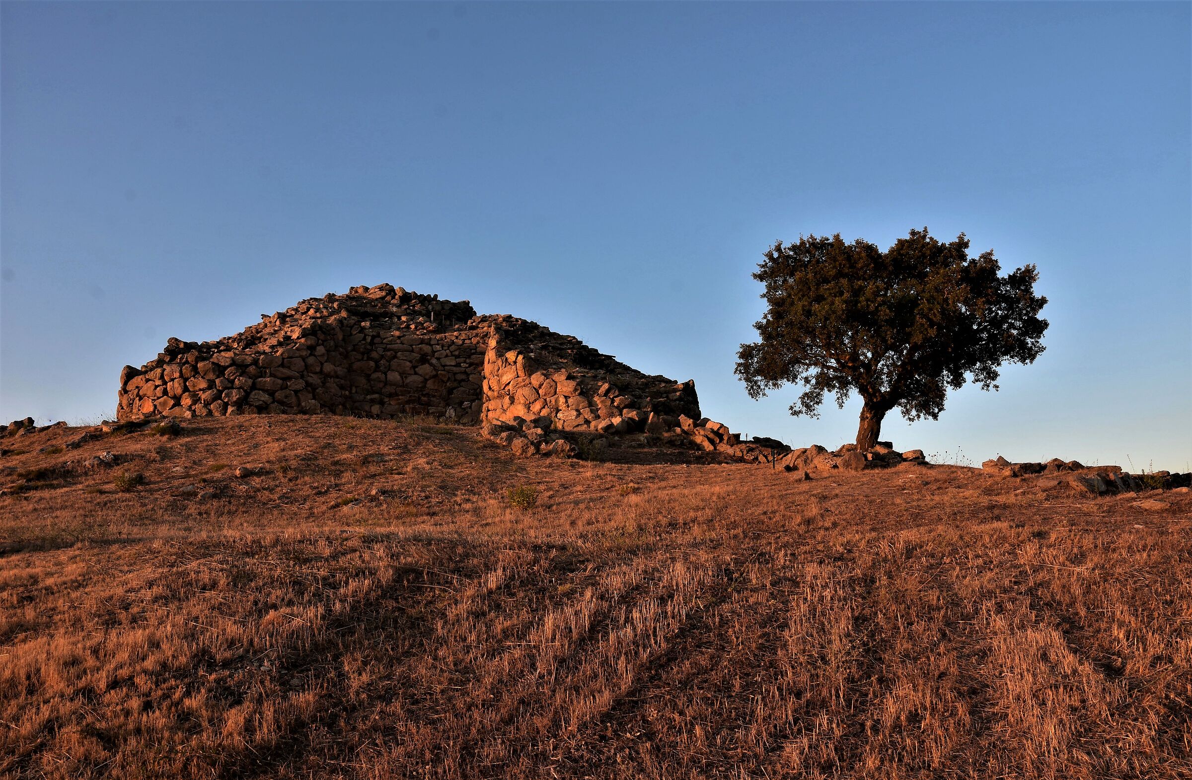 immerso nella storia ..e vi dirò  perché