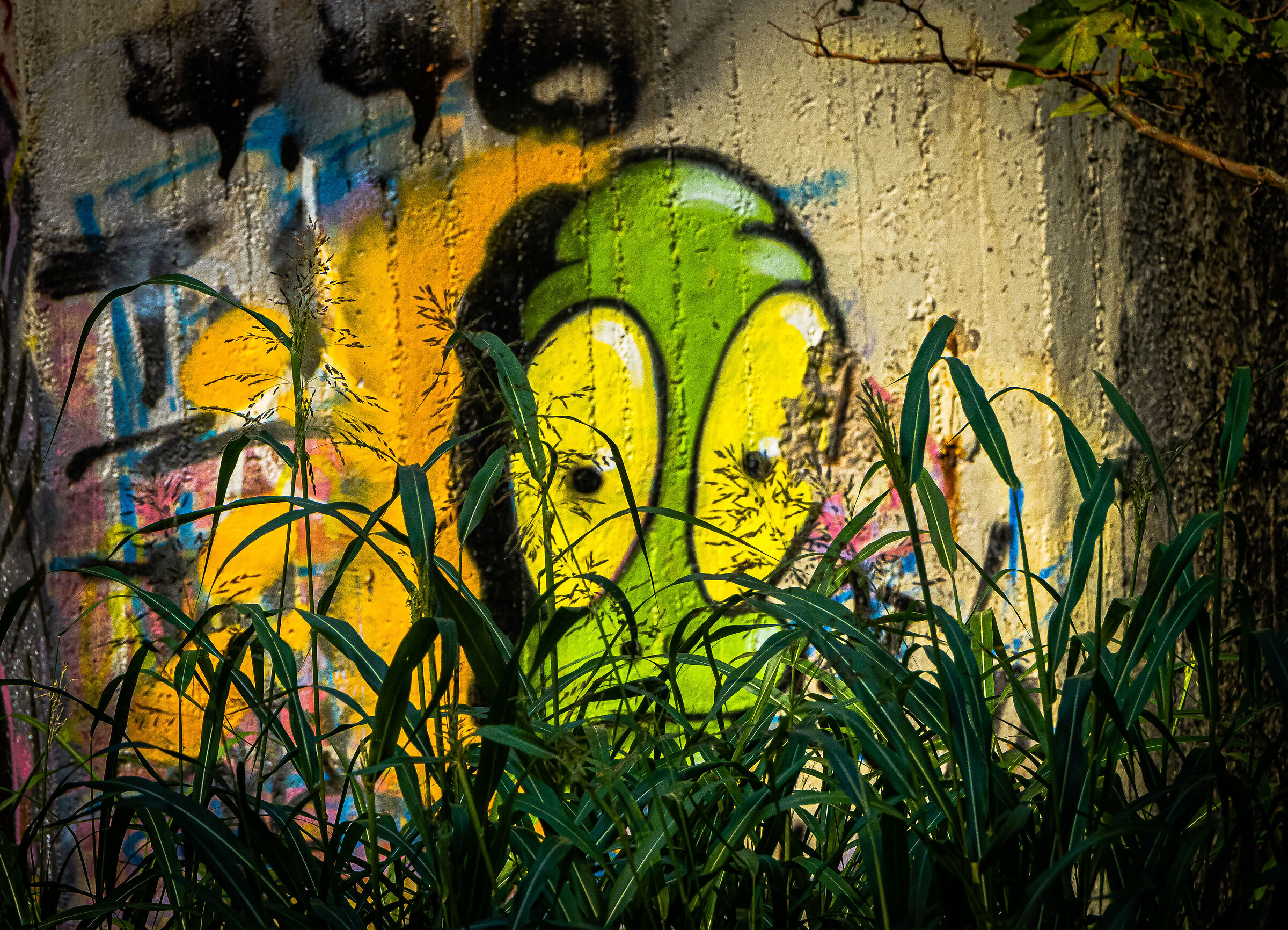 The lagoon monster......