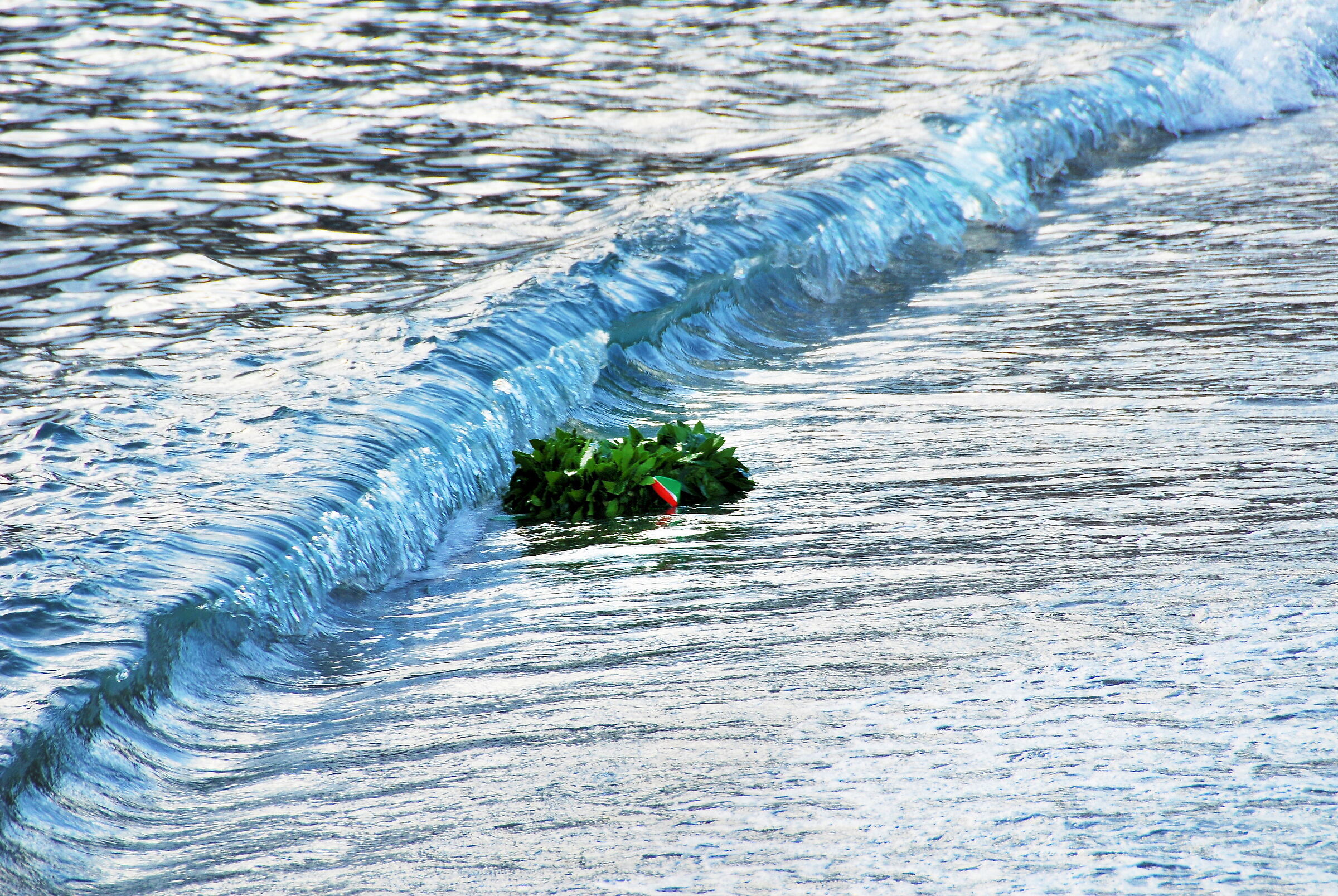 In memoria di chi non ce l'ha fatta