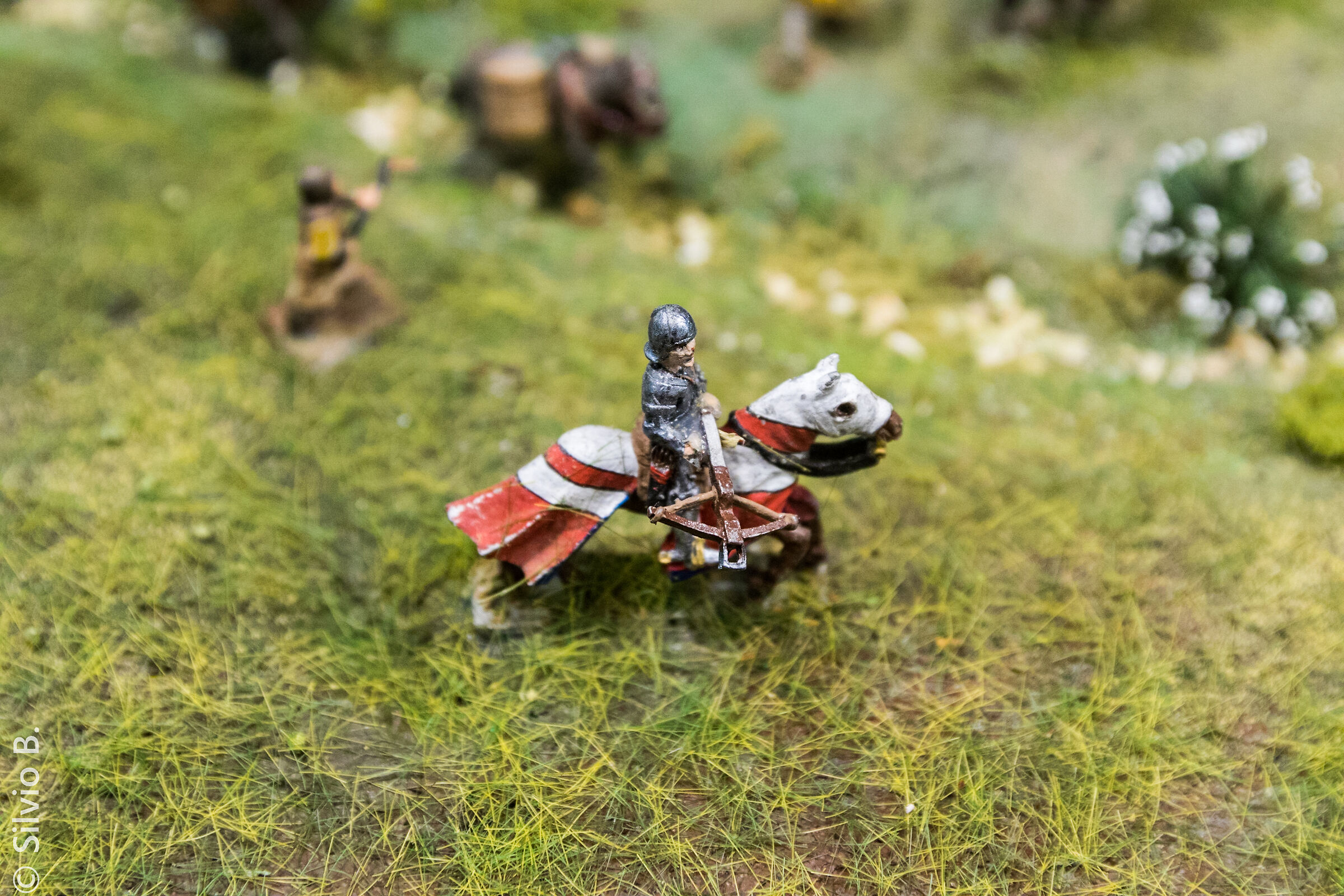 al mio segnale......