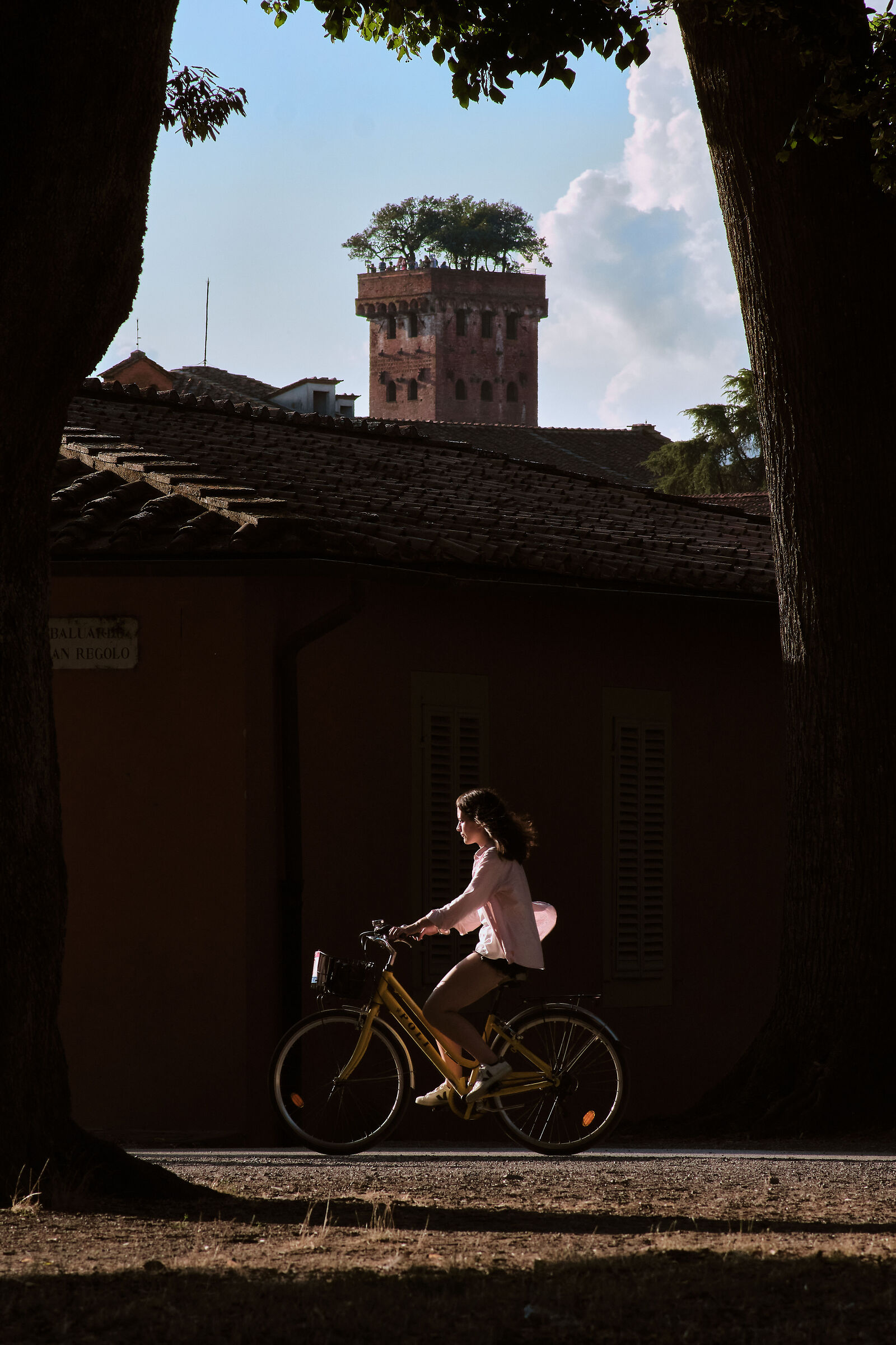 Lucca, the Walls and Guinigi Tower