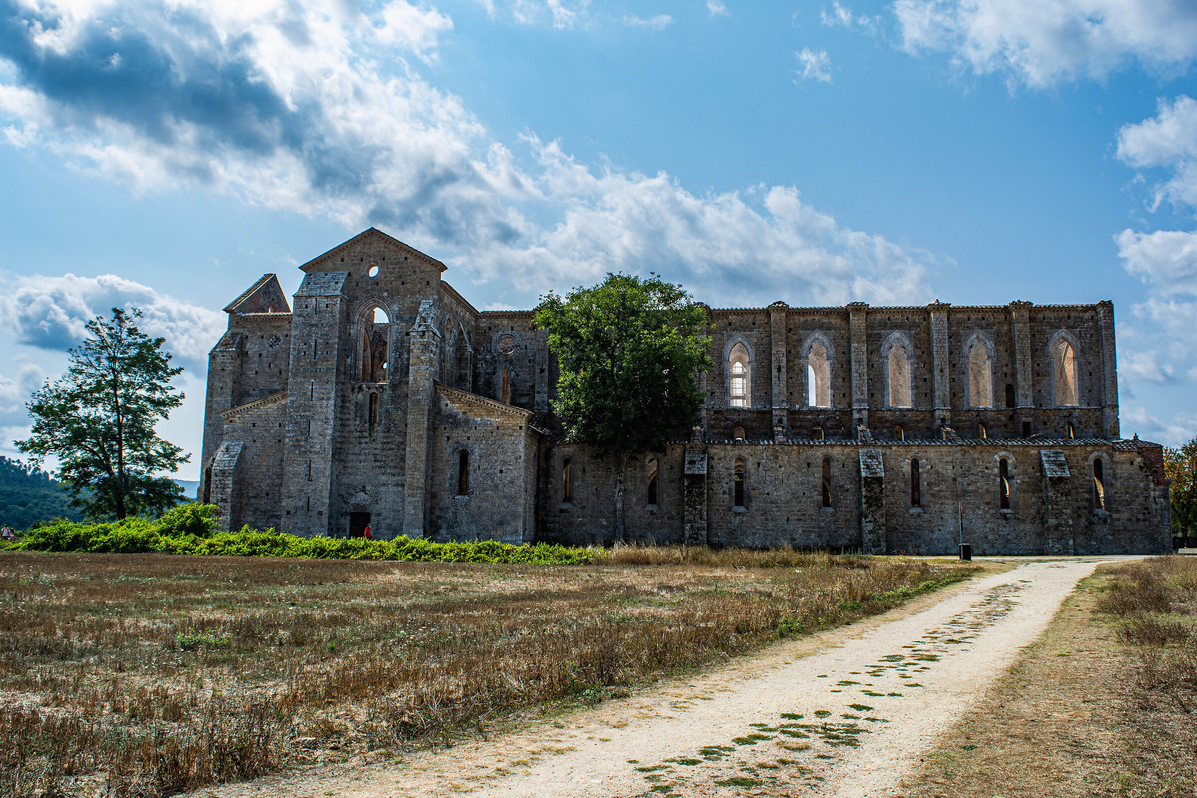 San Galgano - Abbazia