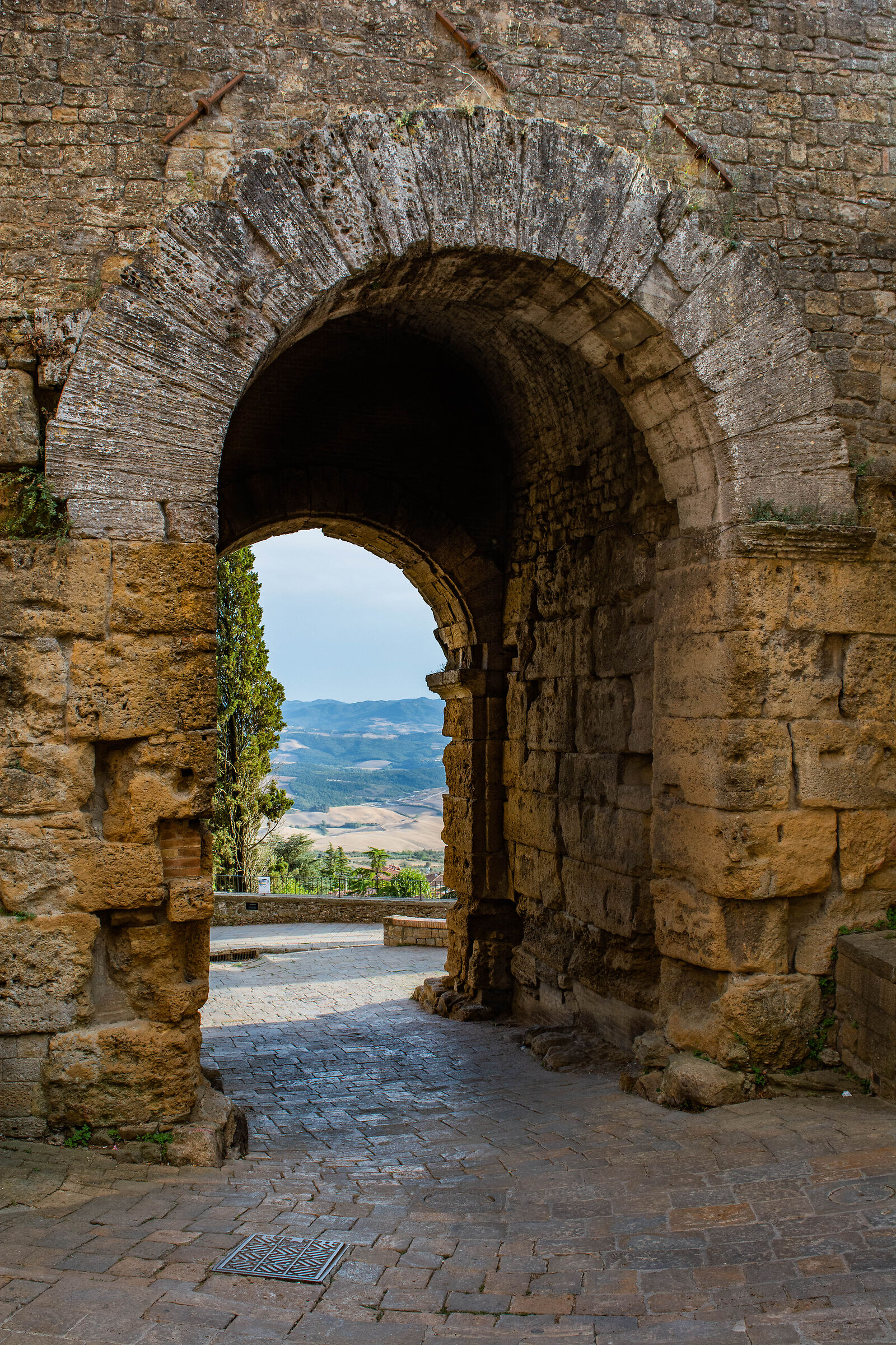 Volterra