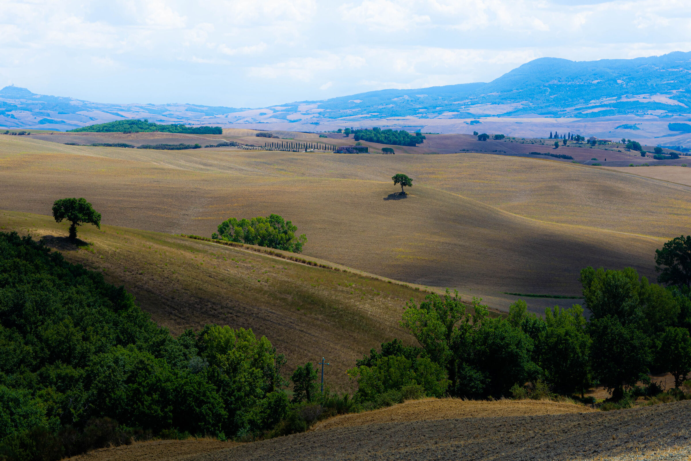 Crete senesi
