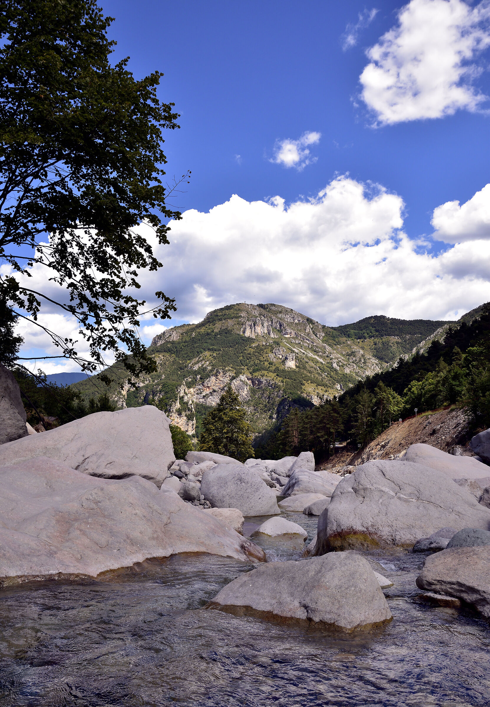 Roia River