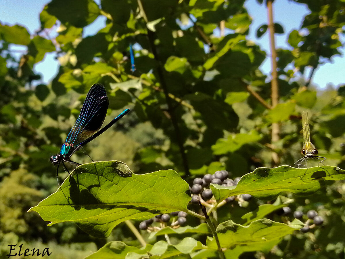non c'è due senza tre