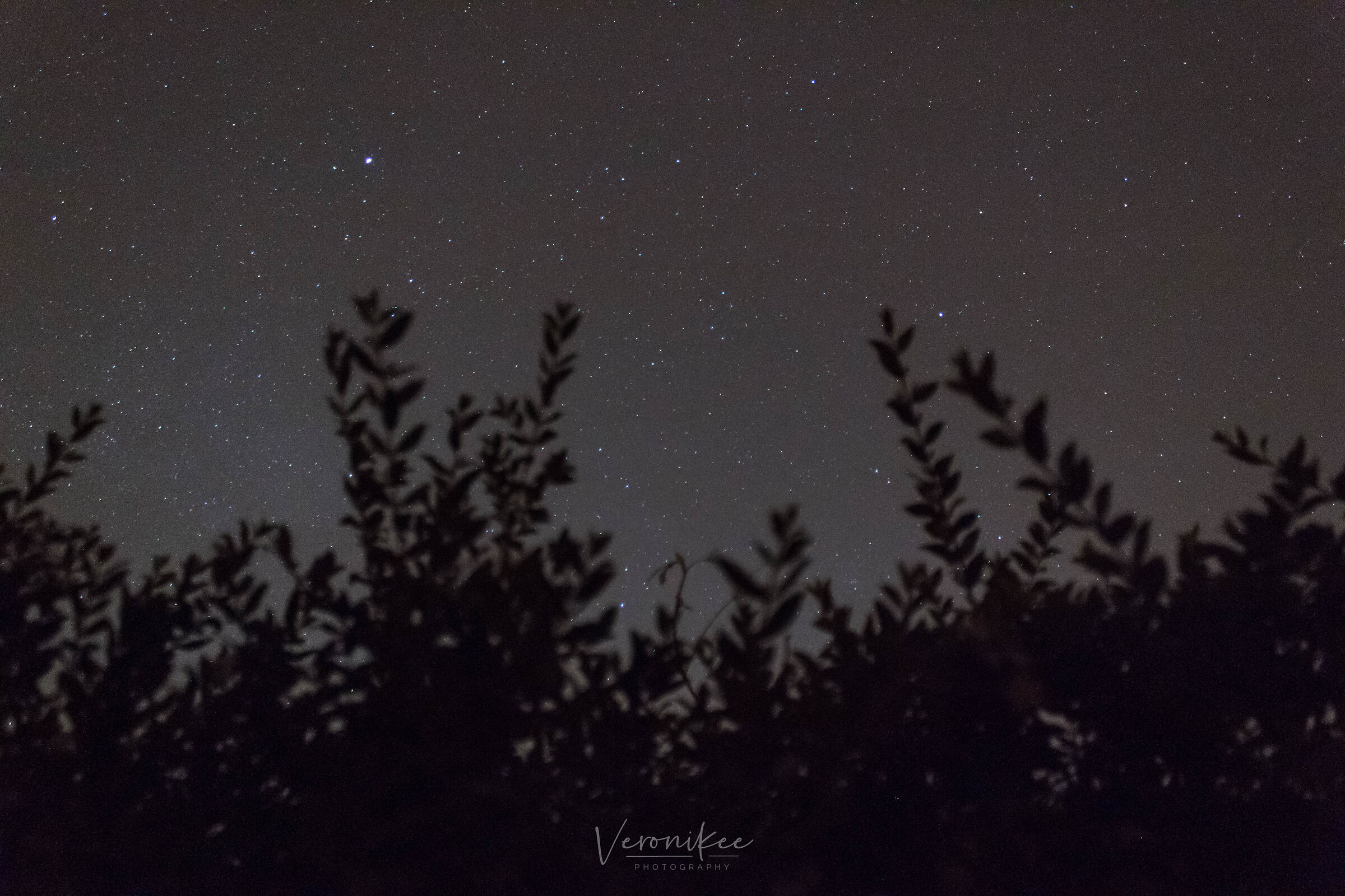 Starry sky