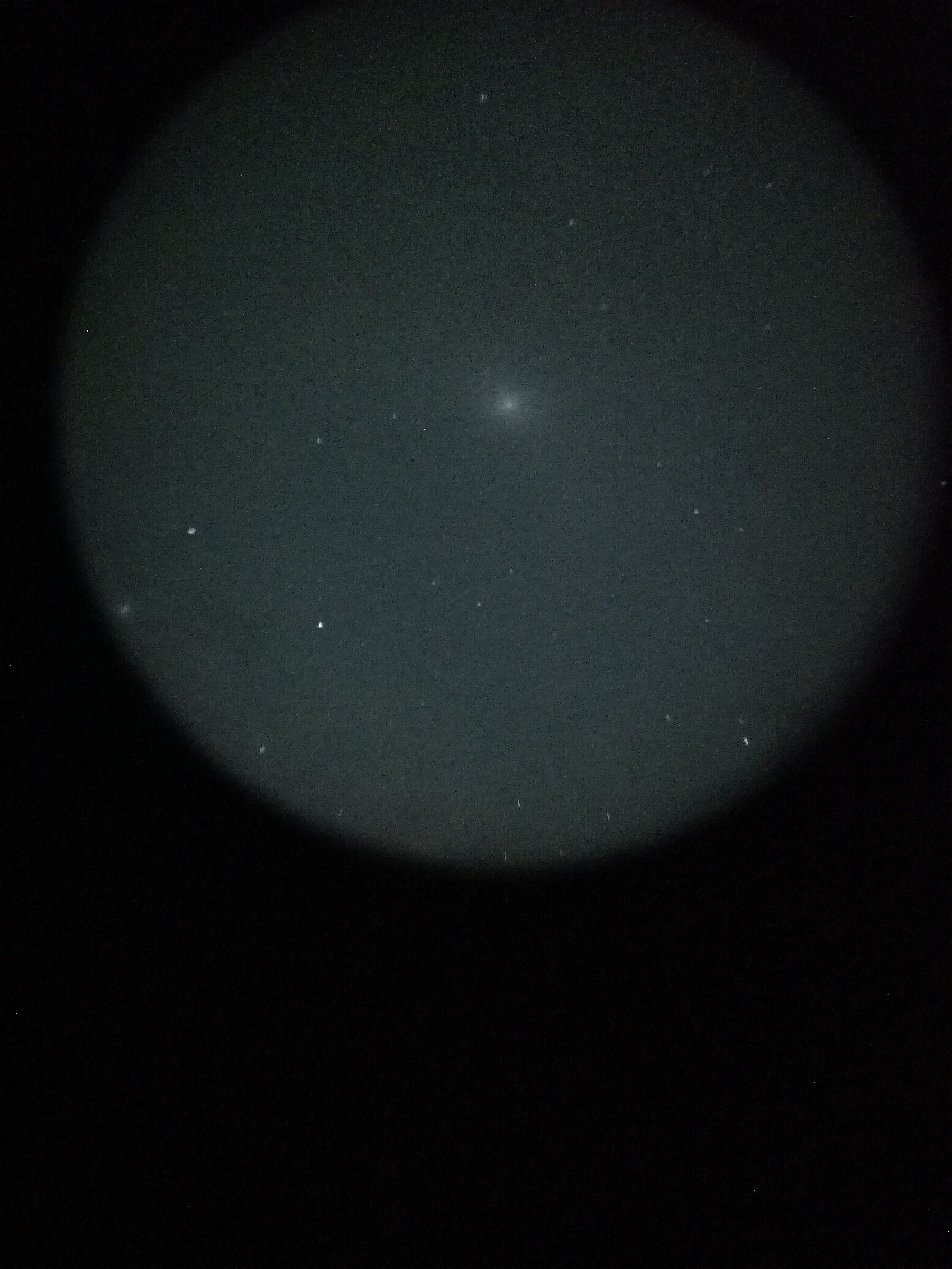 Andromeda