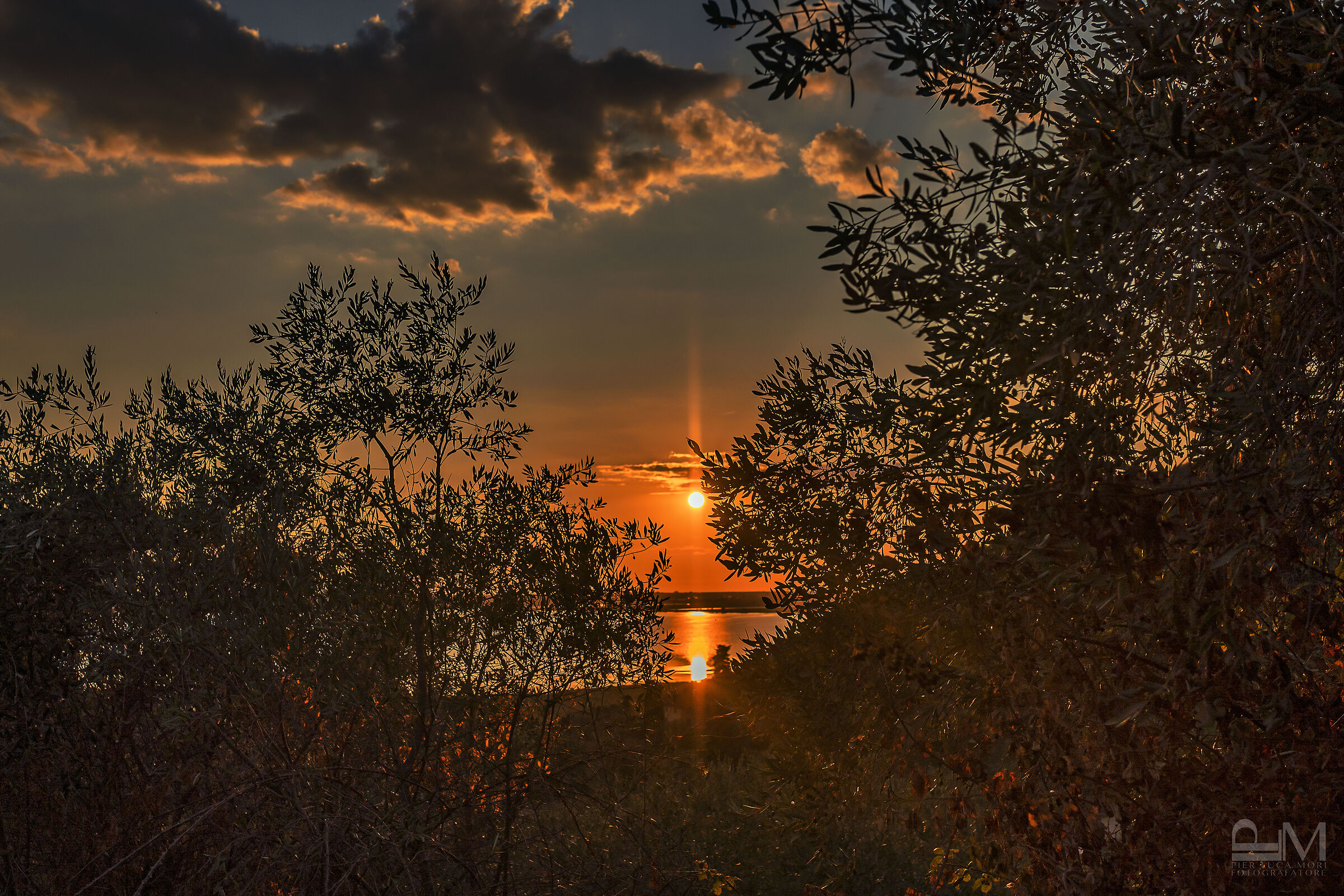 Tramonto sul Lago di Massaciuccoli