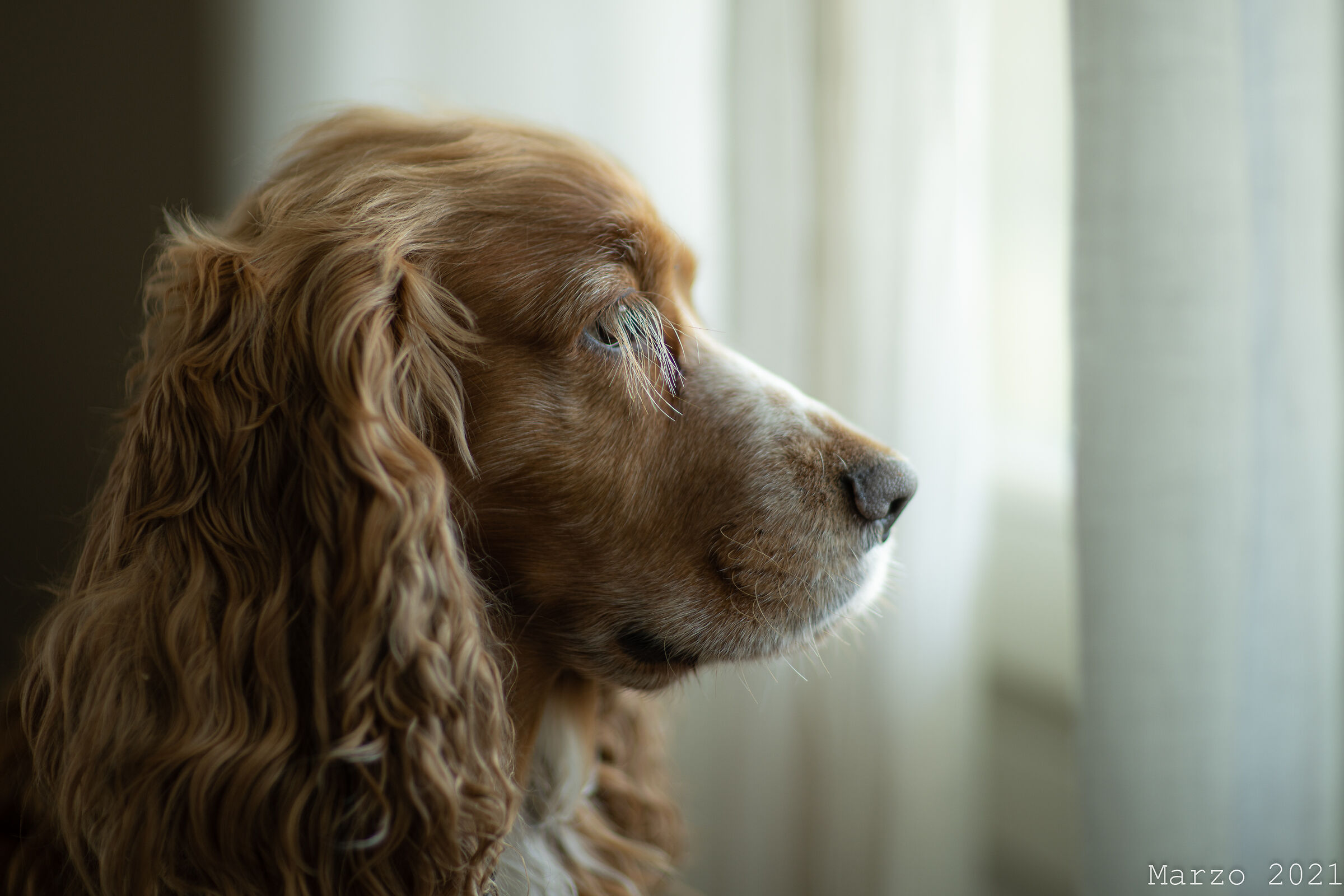 Gustavo aspetta mamma