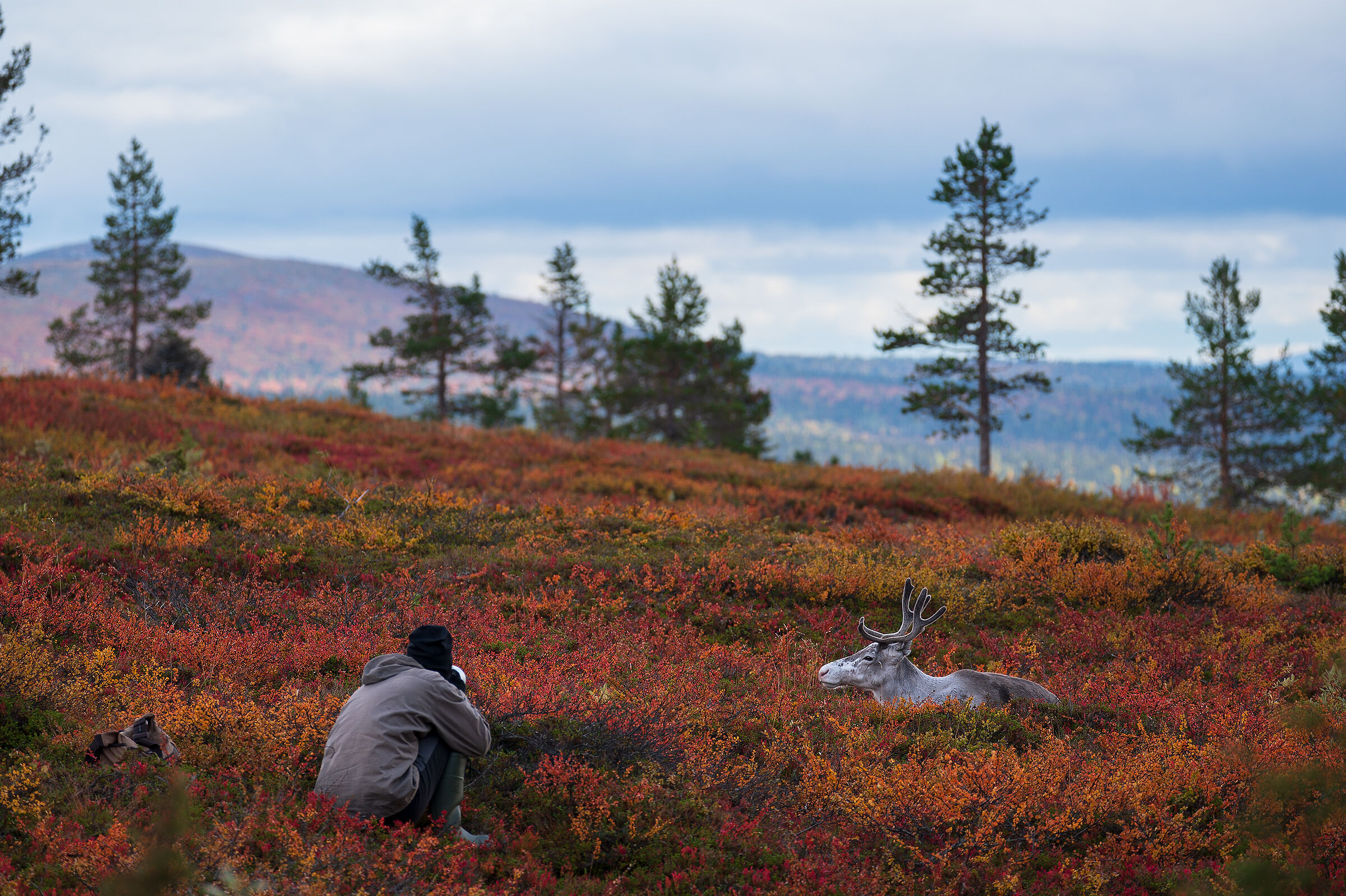 Speriamo che venga bene
