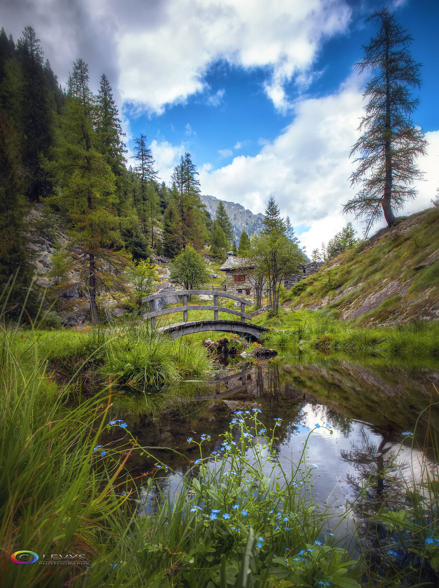 Everyone wants to live on top of the mountain