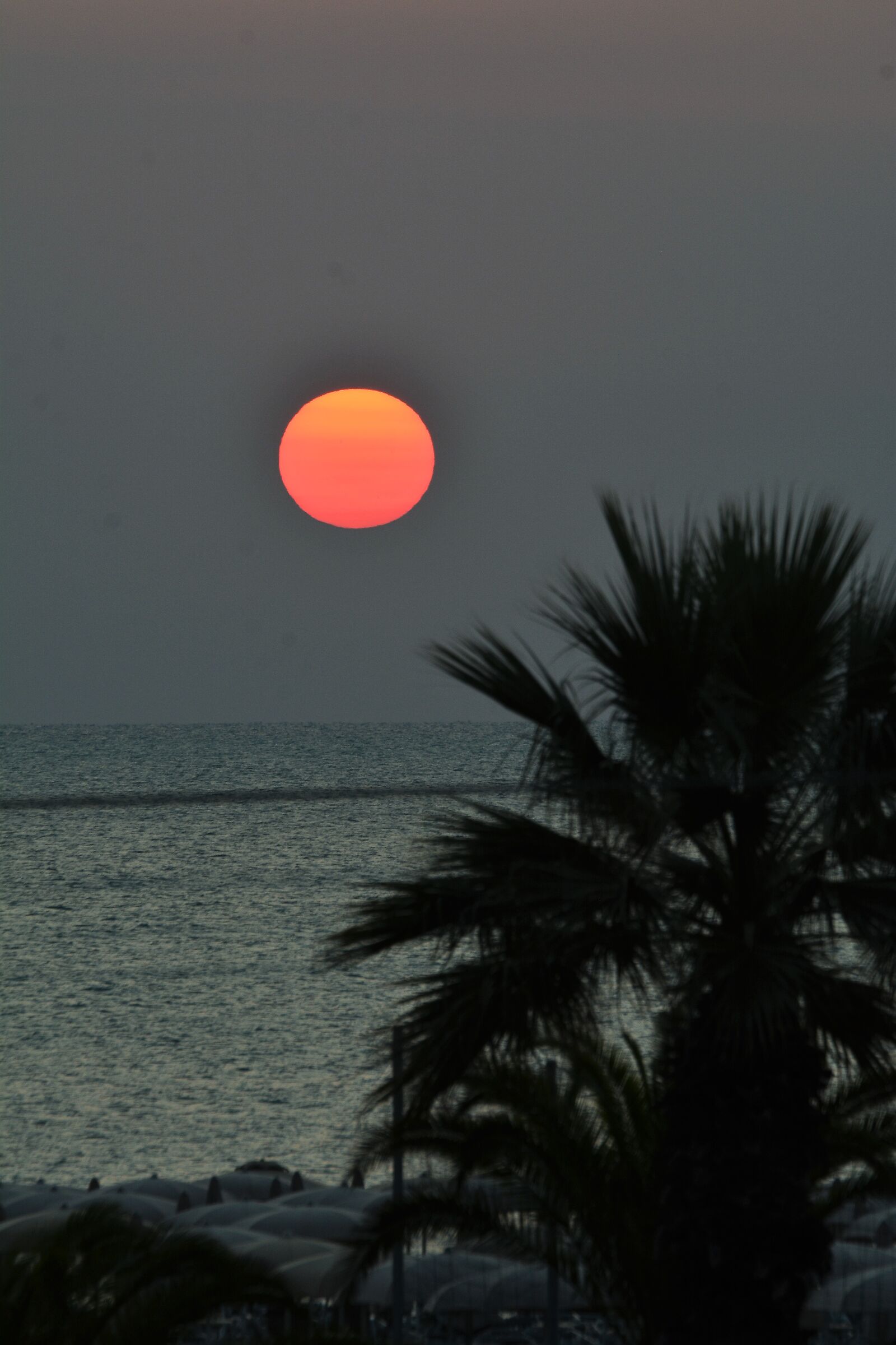 Good Morning Strashine.