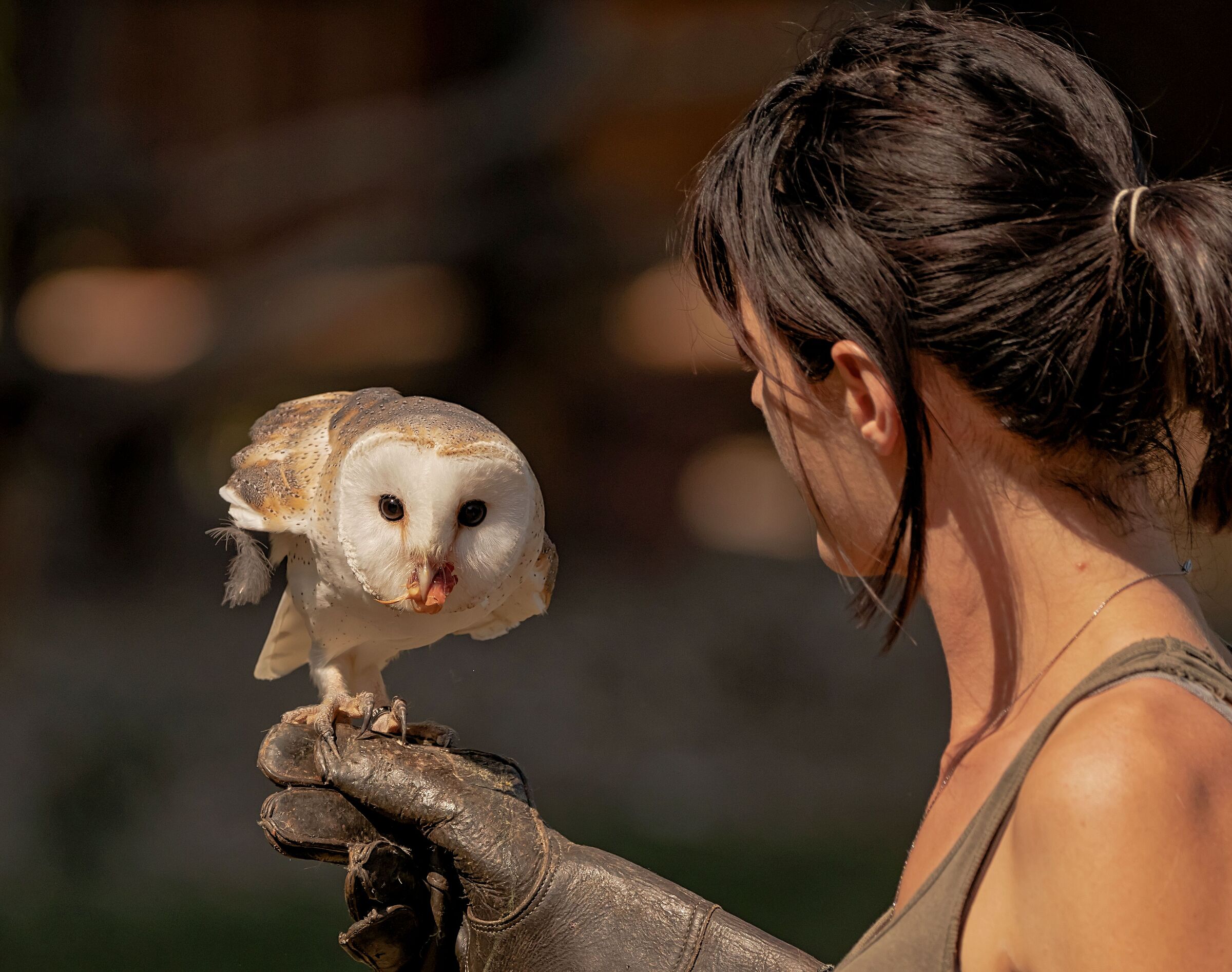 Barbaggiani feeds 12/08/2021 Oasi Sant'Alessio(pv)
