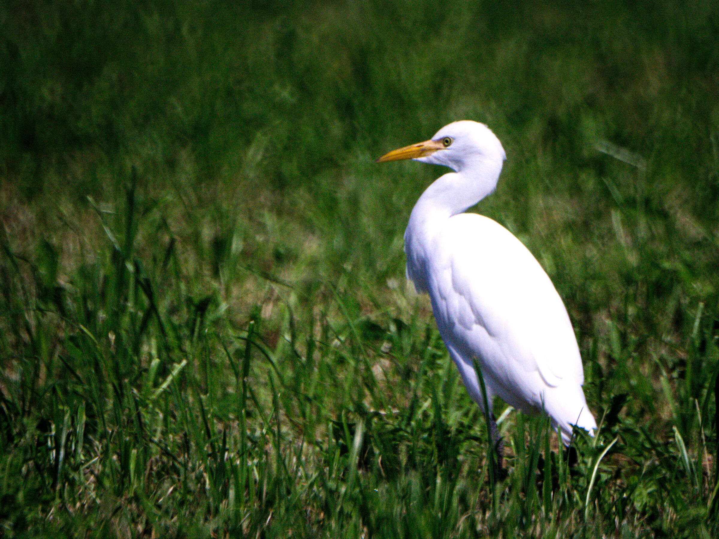 He will not have seen me??!!