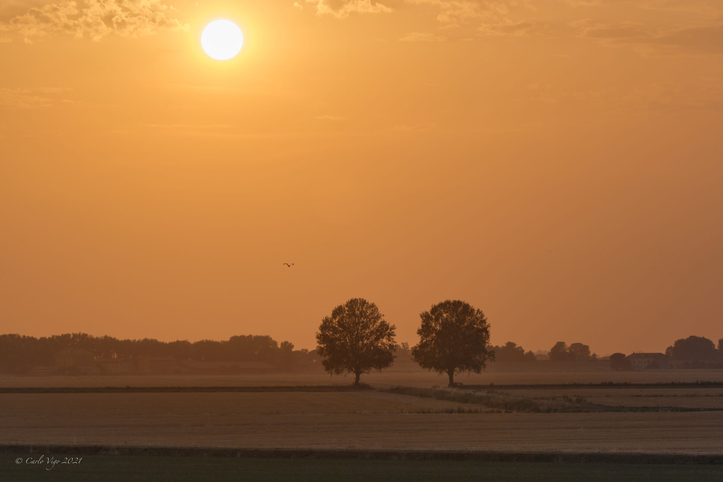 Volando verso il sole
