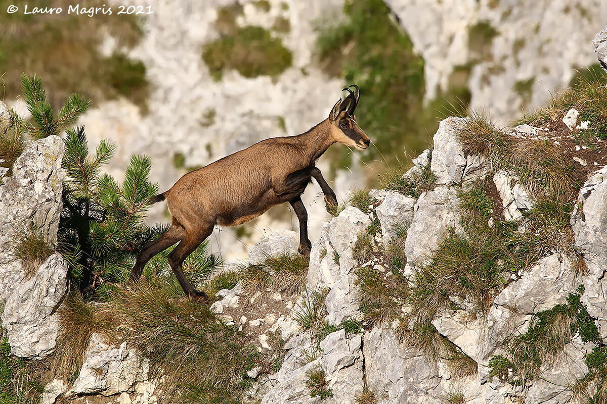 Risalita sul crinale