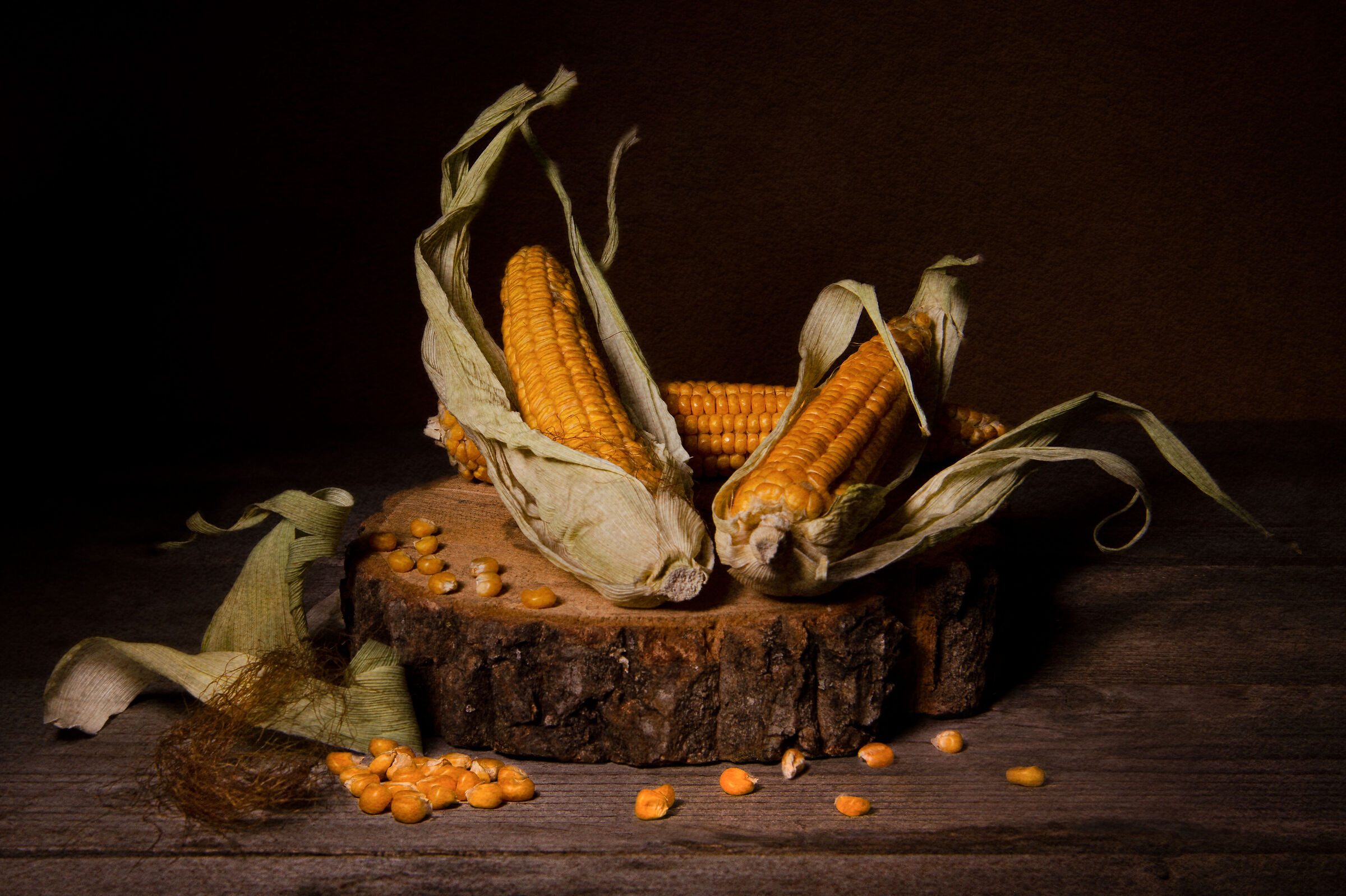 Maize... light painting