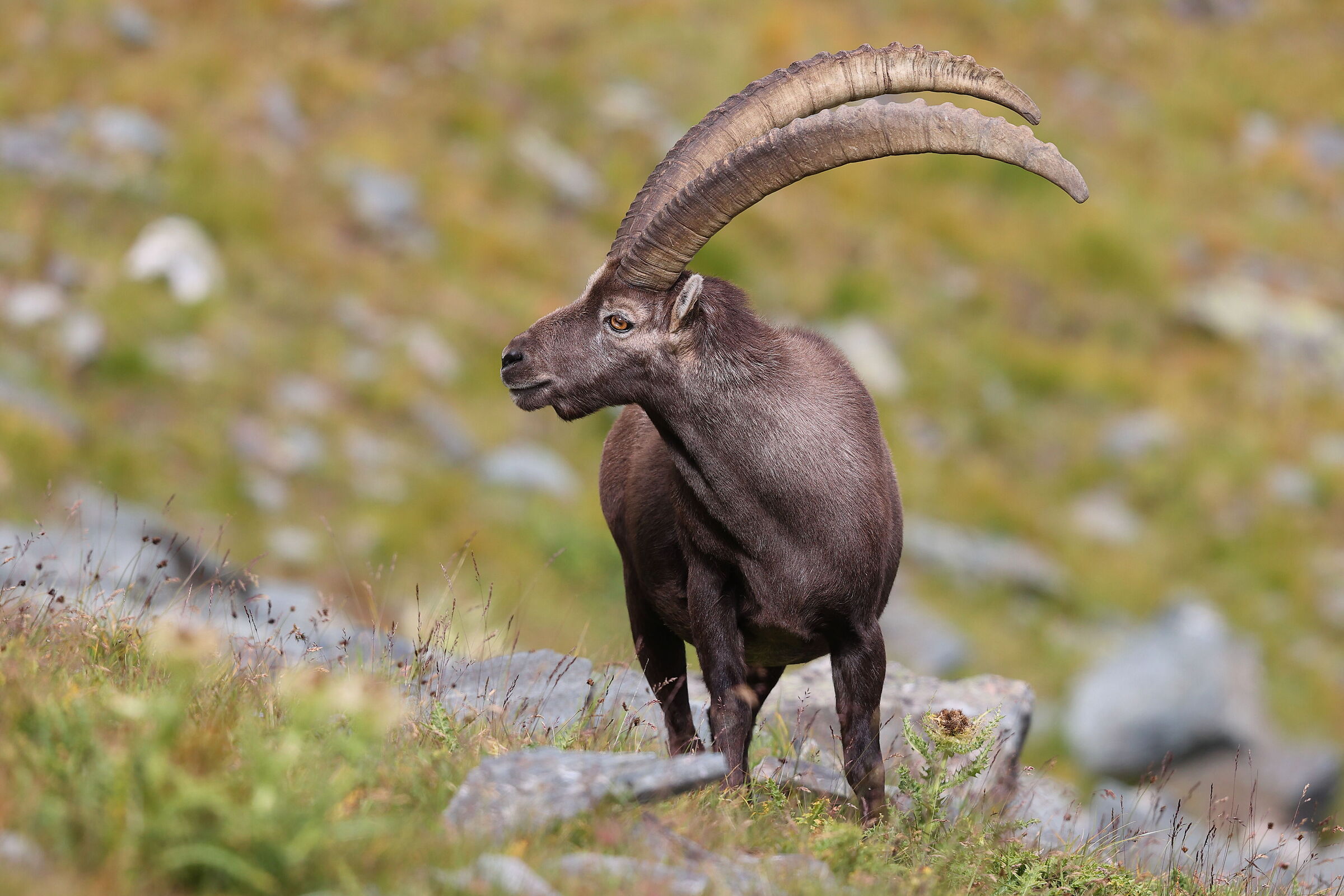 Che bel posto dove vivere