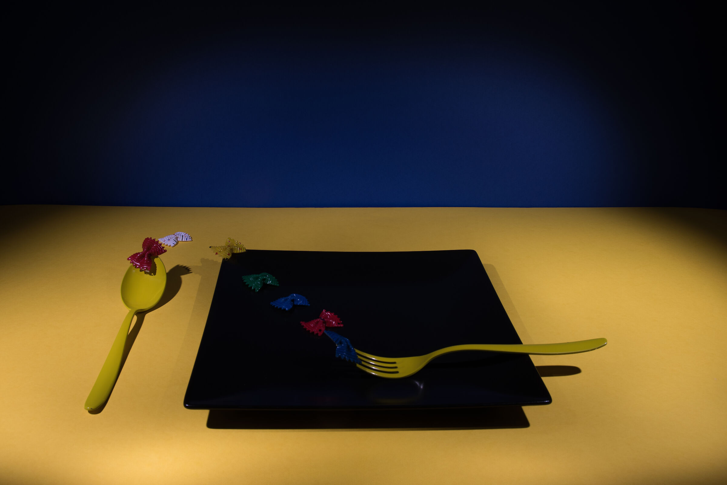 "Piatto del giorno....."