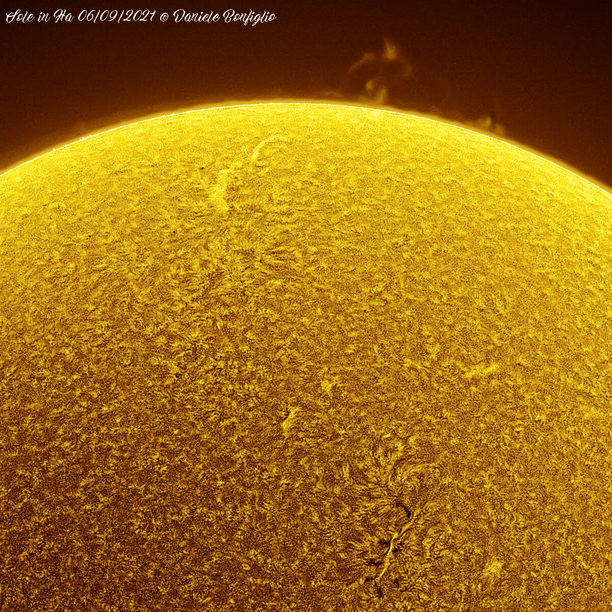 Protuberanze interne al disco