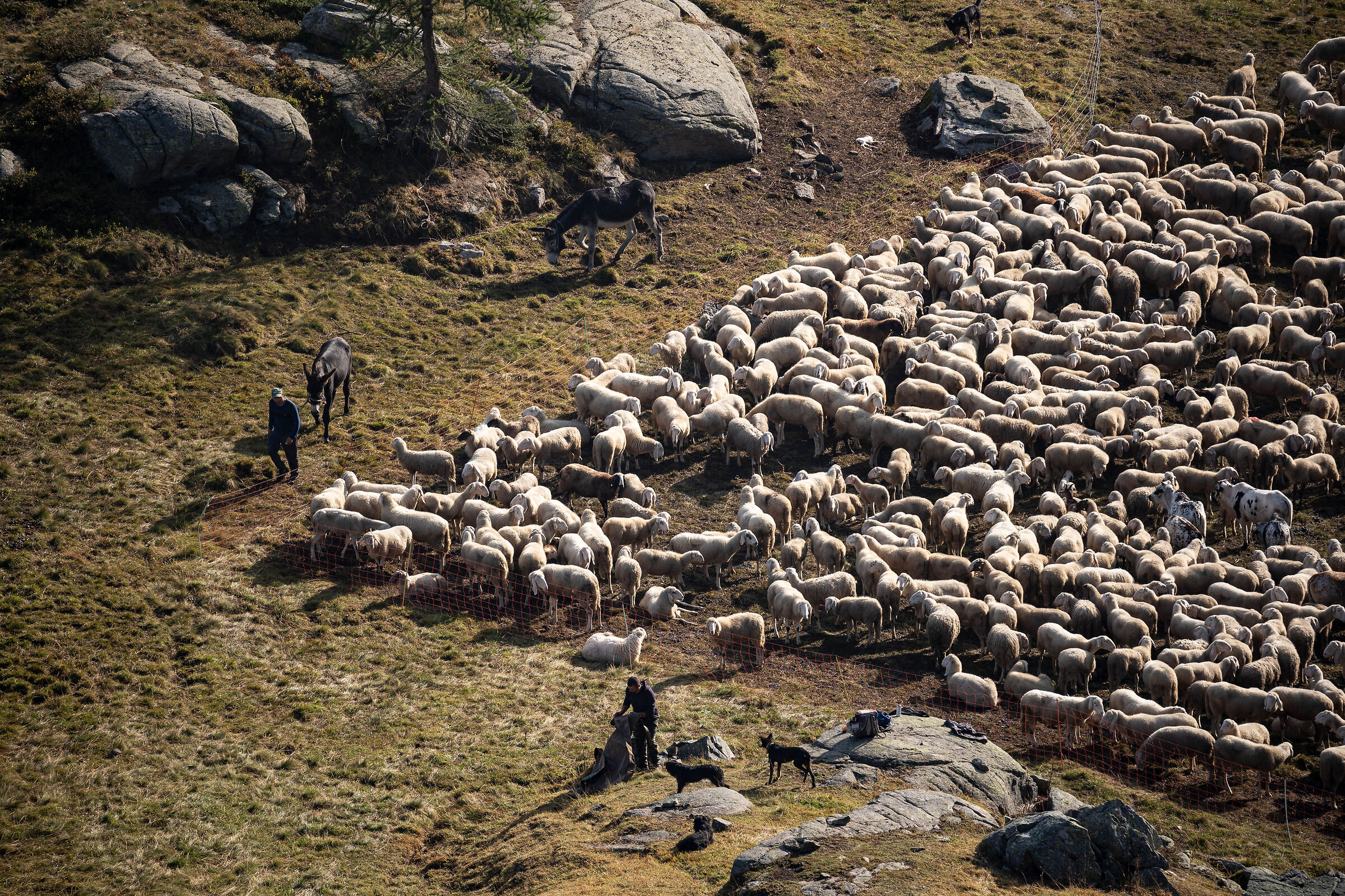 Sample Sigma 100-400 DN @ 400mm