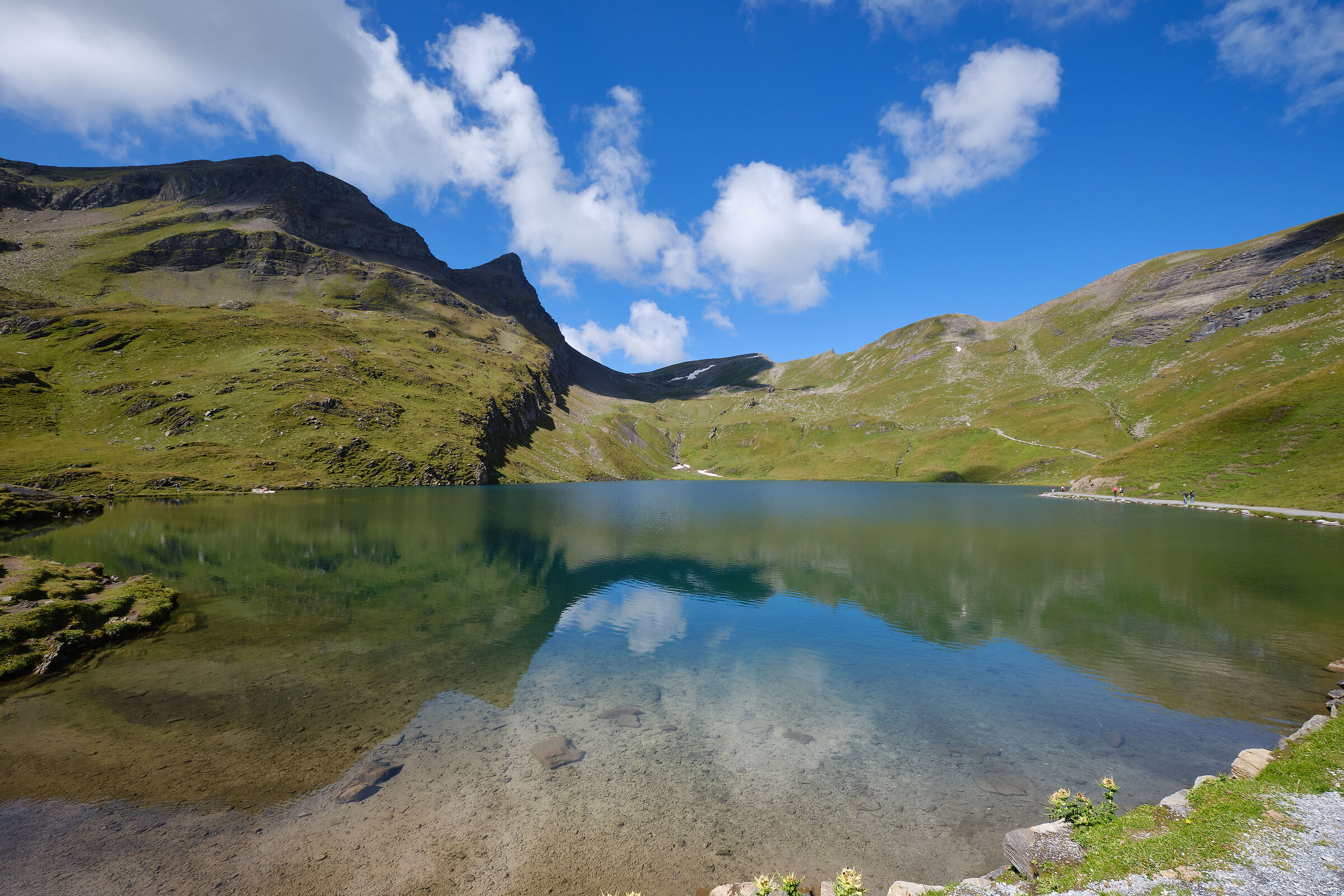Bachalpsee - Svizzera