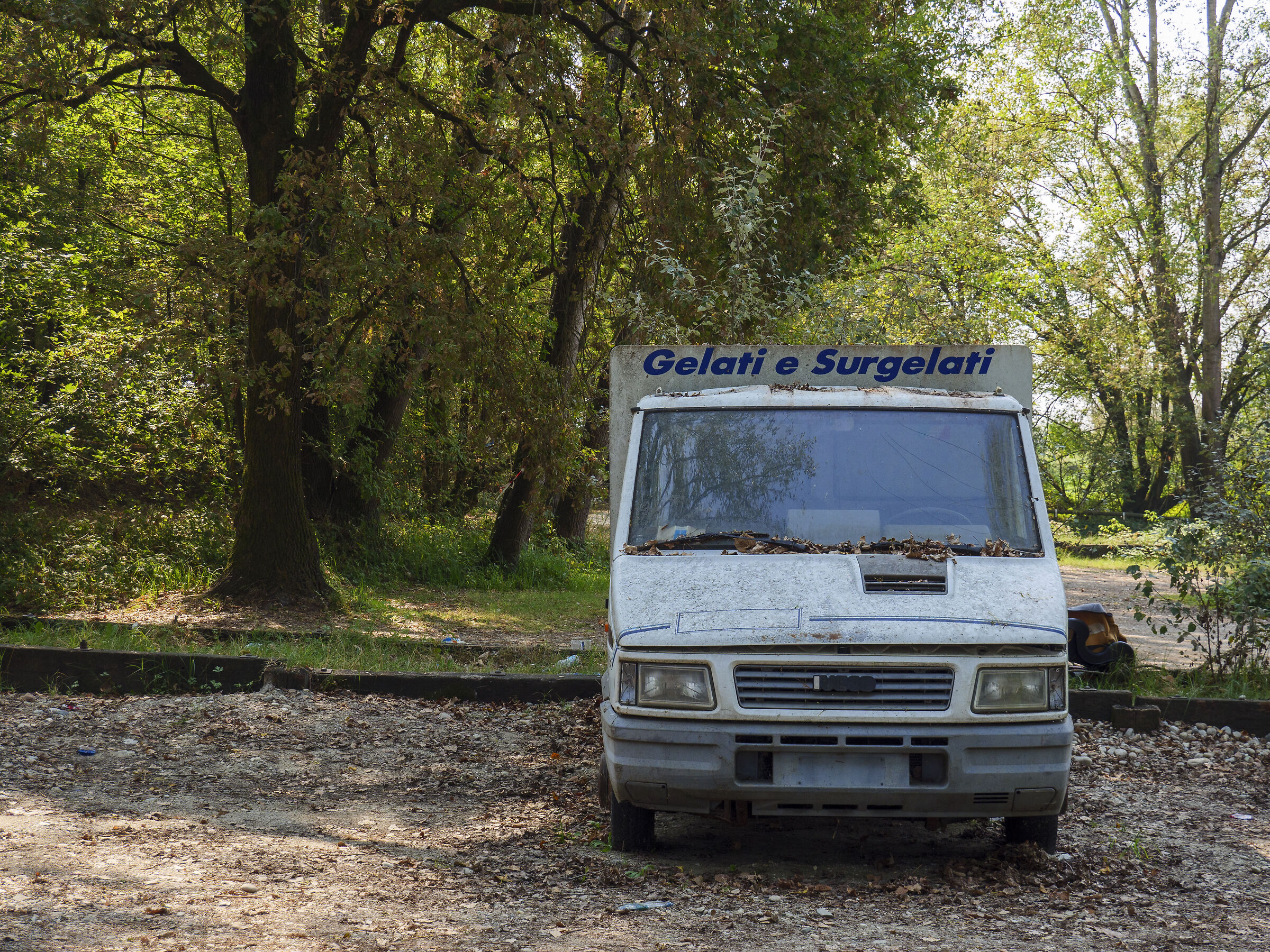 Gelati e Surgelati Abbandonati