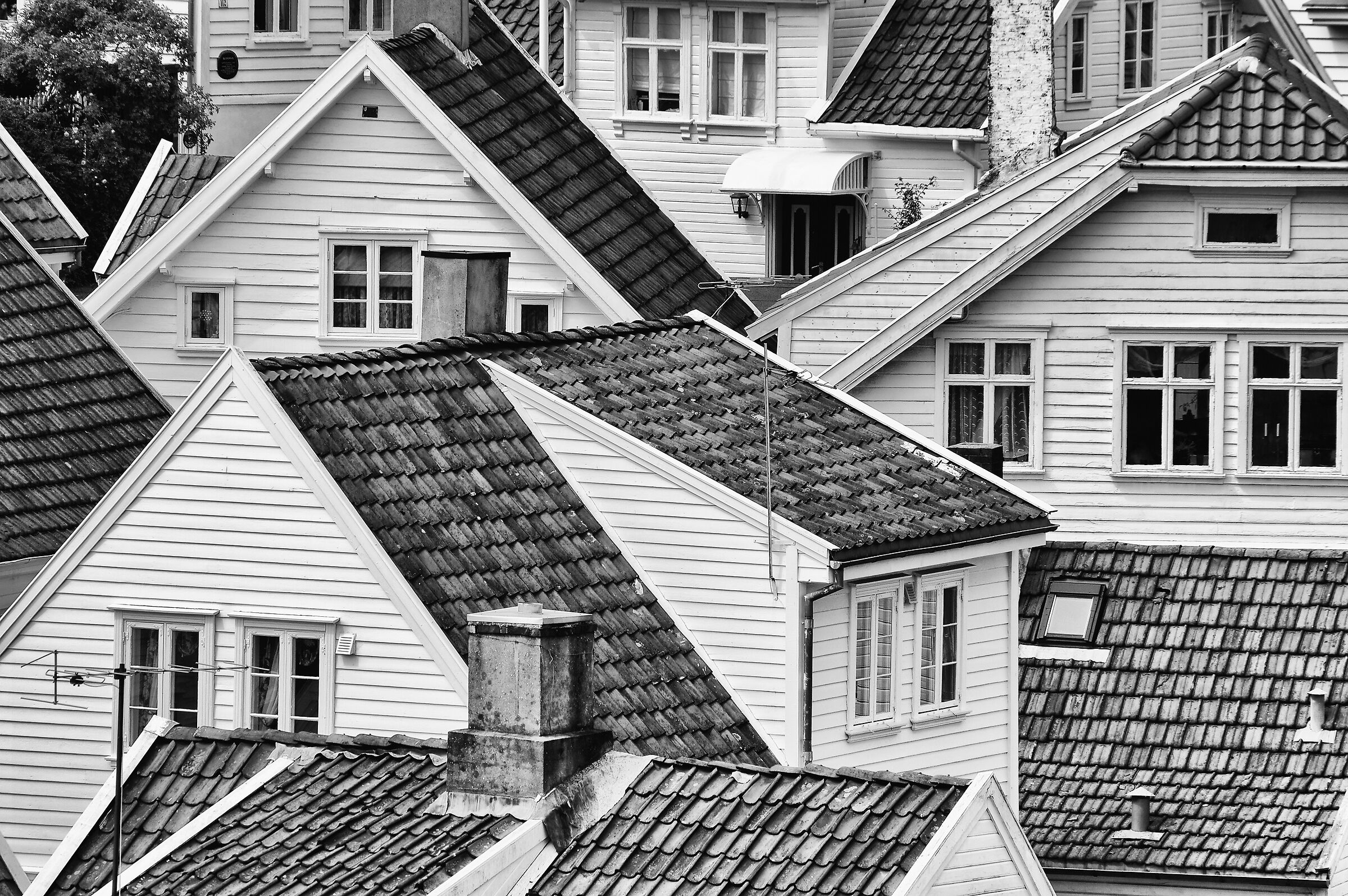 Spigoli Scandinavi (Bergen)