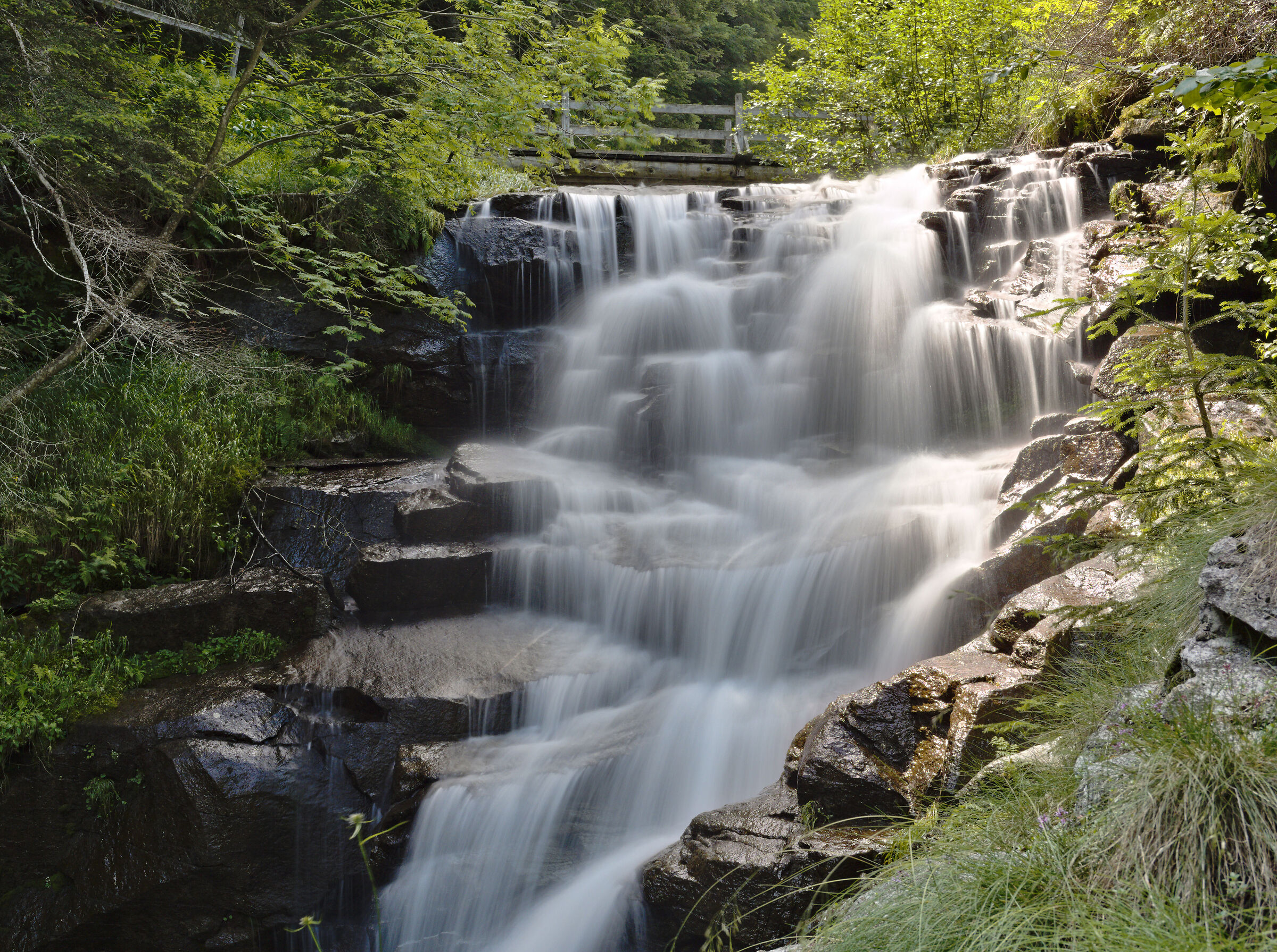 Primi passi "setosi"