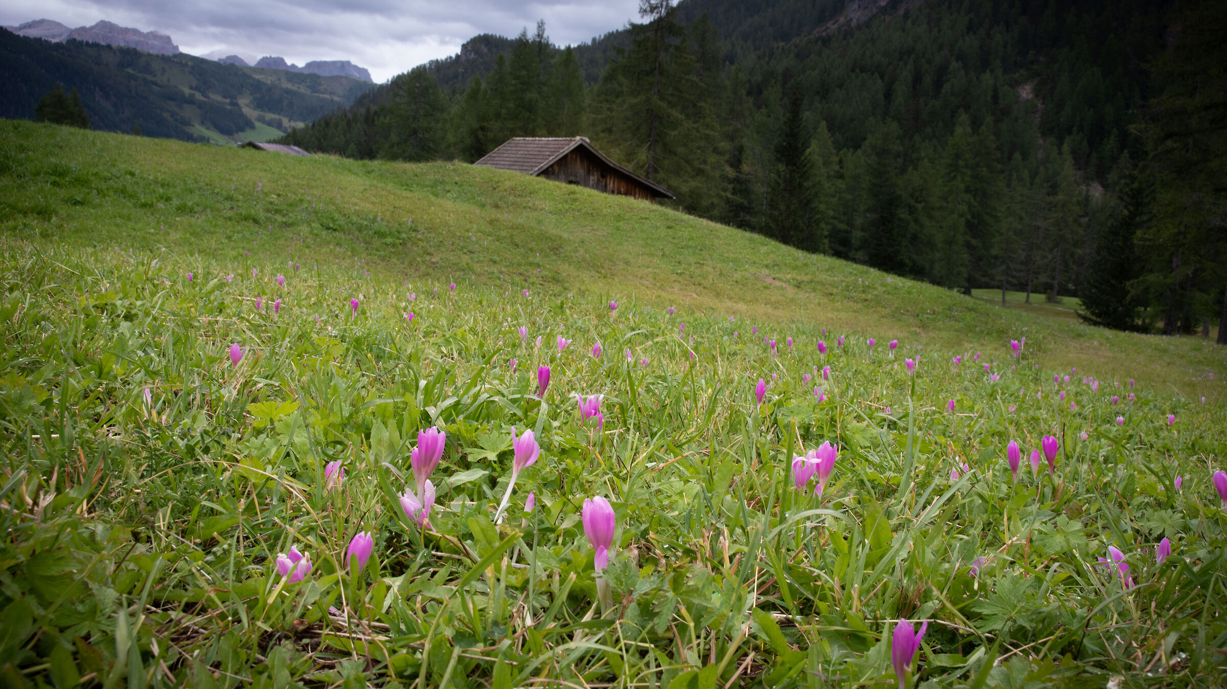 Nei pressi delle cascate Pisciadù