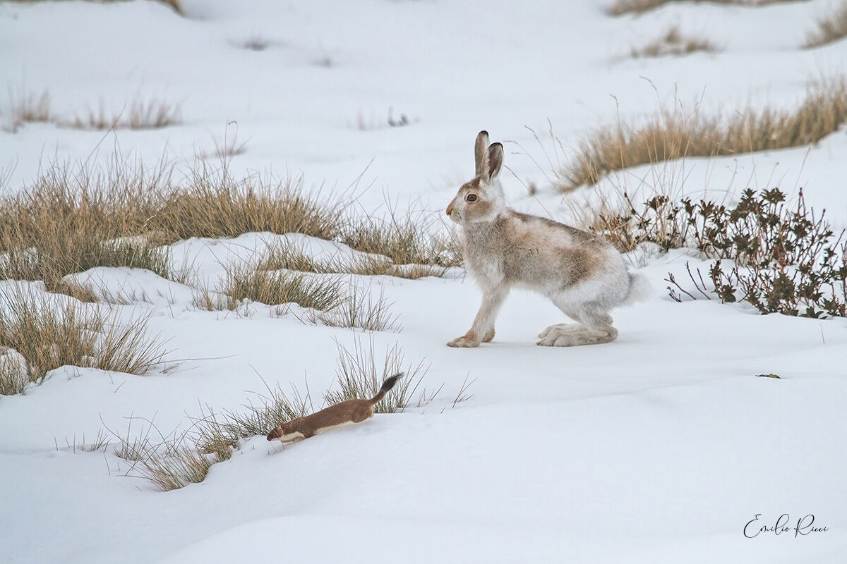 Certain meetings are not forgotten...