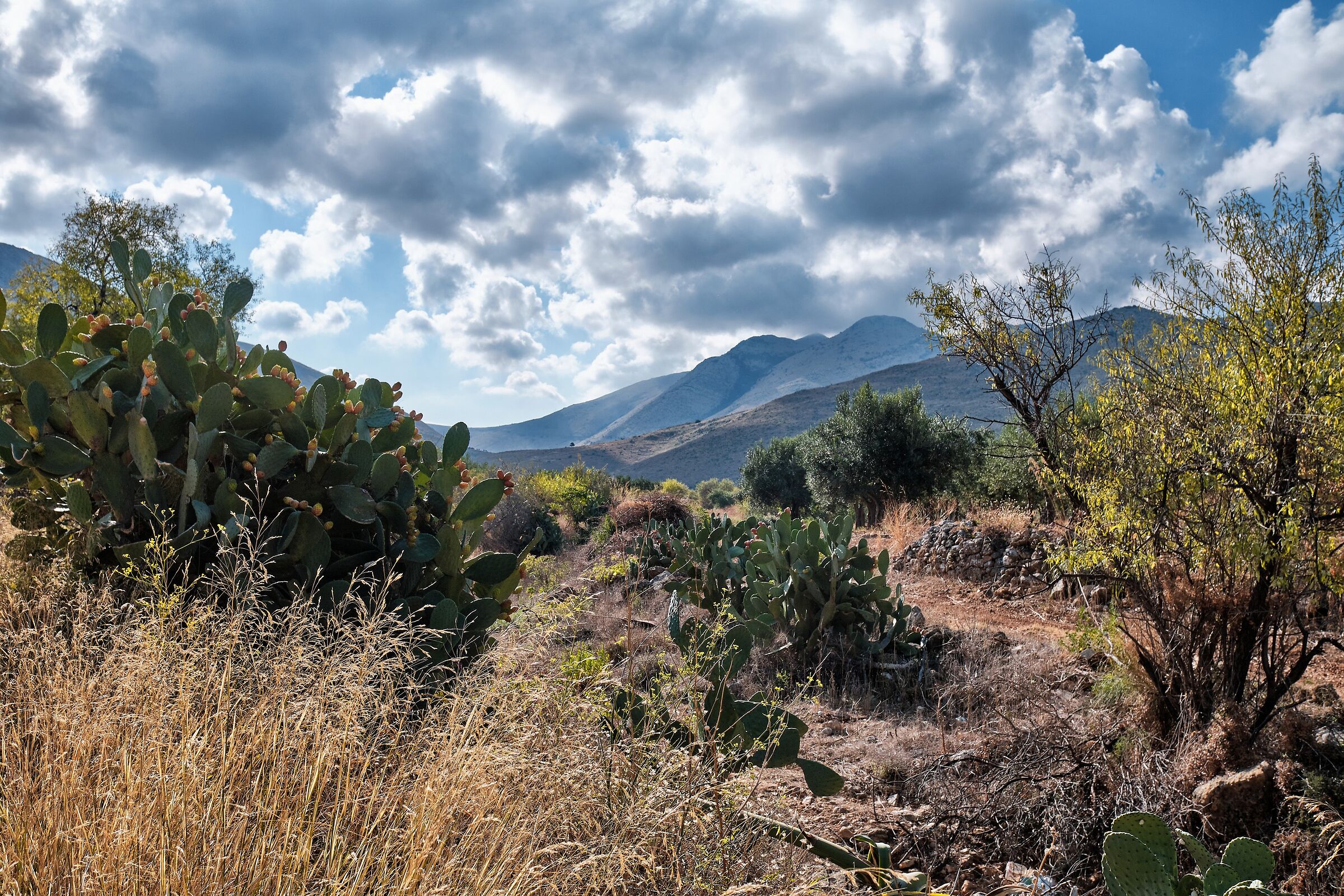 Il Paesaggio Siciliano